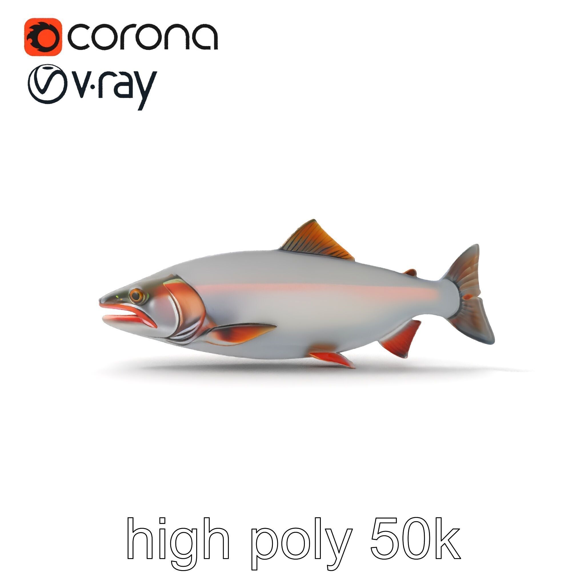 Steelhead Trout Migration Motion model pack Low-poly 3D model_16