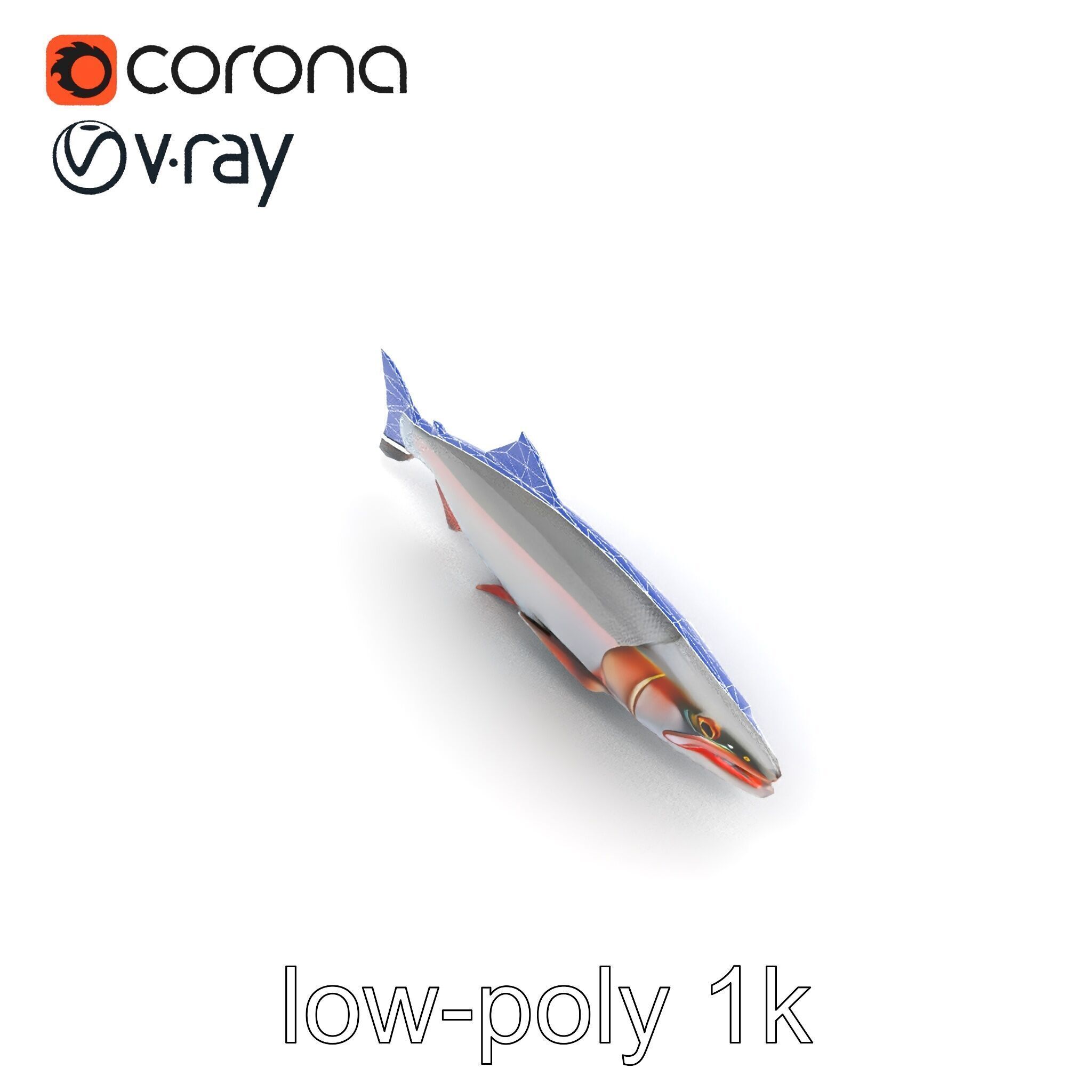 Steelhead Trout Migration Motion model pack Low-poly 3D model_22