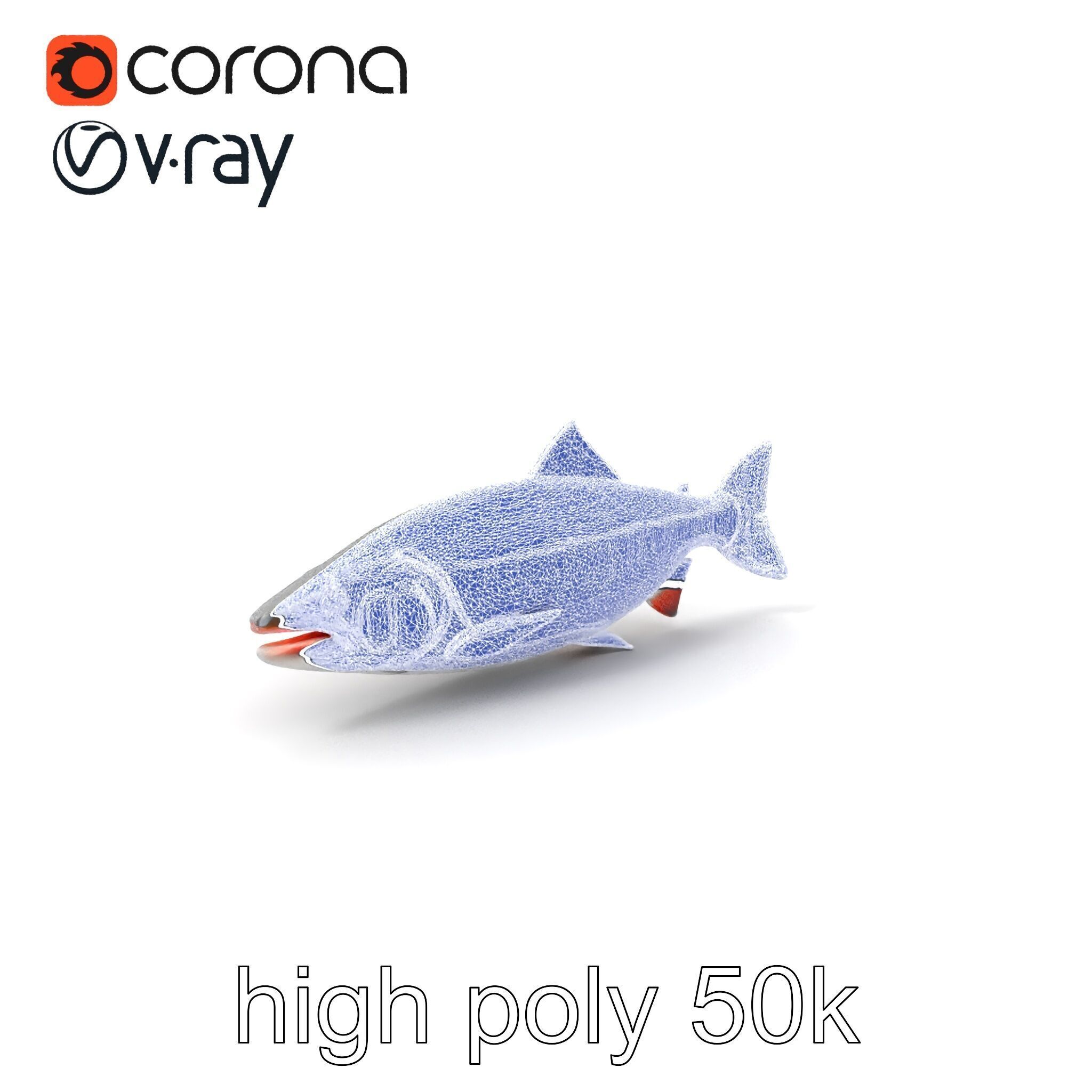 Steelhead Trout Migration Motion model pack Low-poly 3D model_1