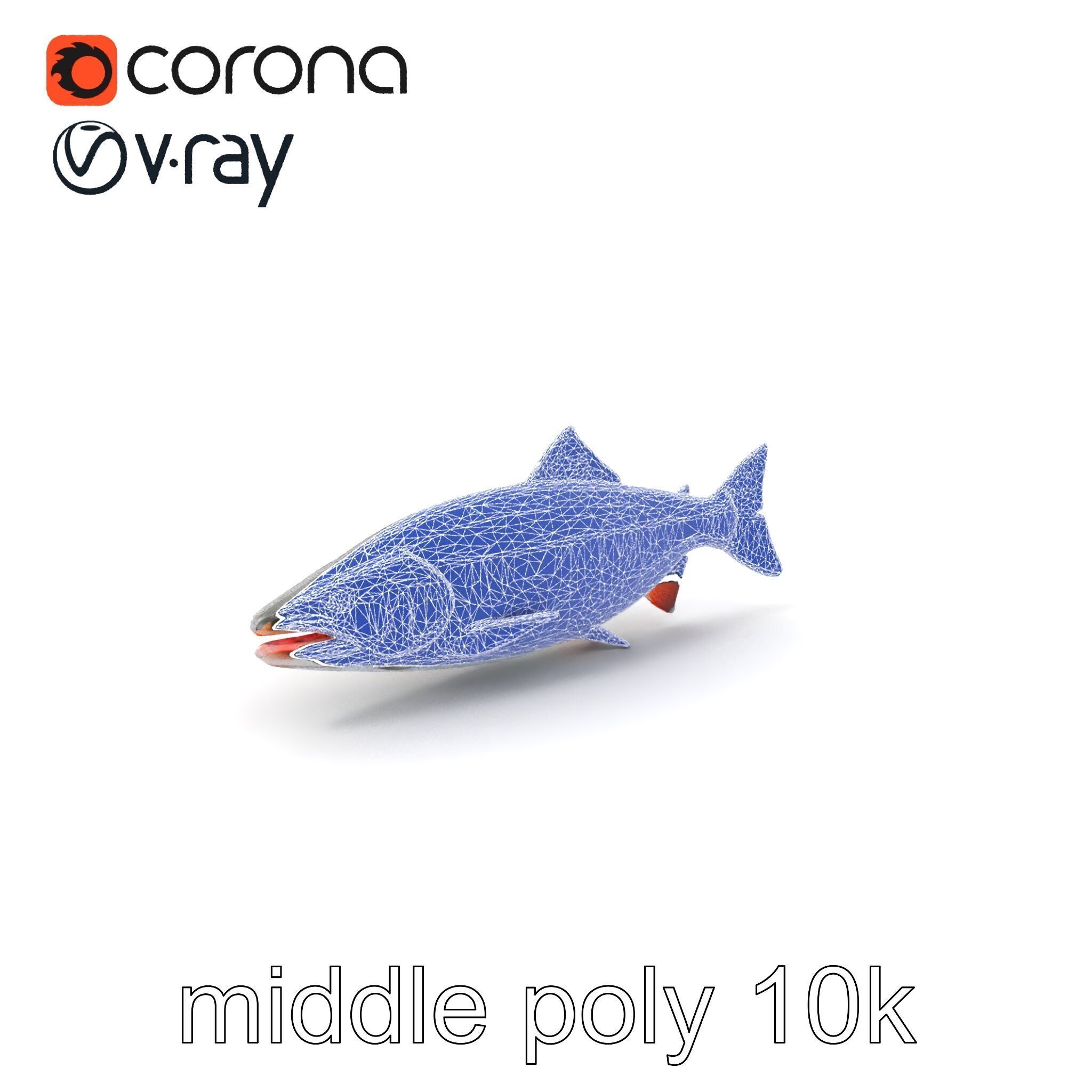 Steelhead Trout Migration Motion model pack Low-poly 3D model_5