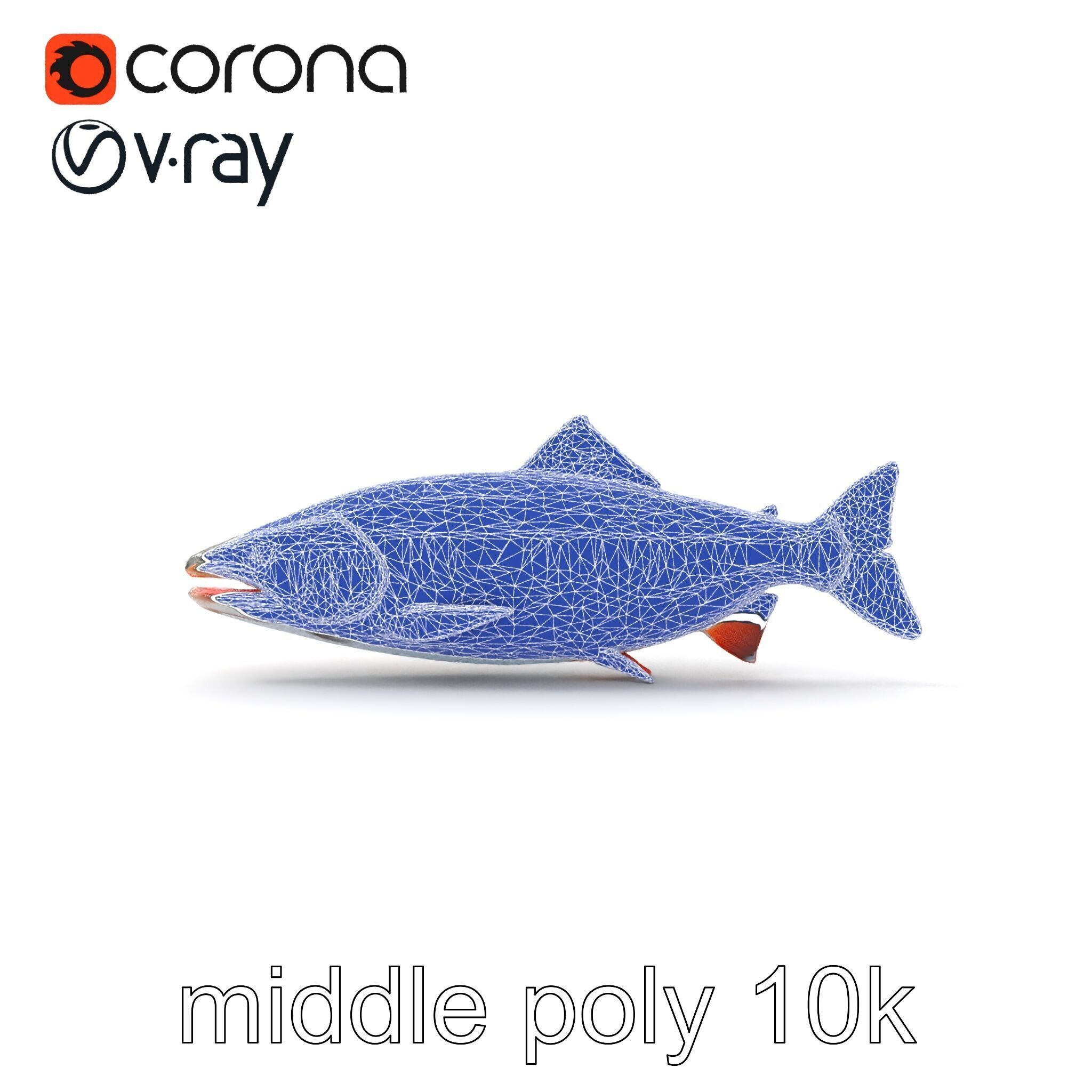 Steelhead Trout Migration Motion model pack Low-poly 3D model_12