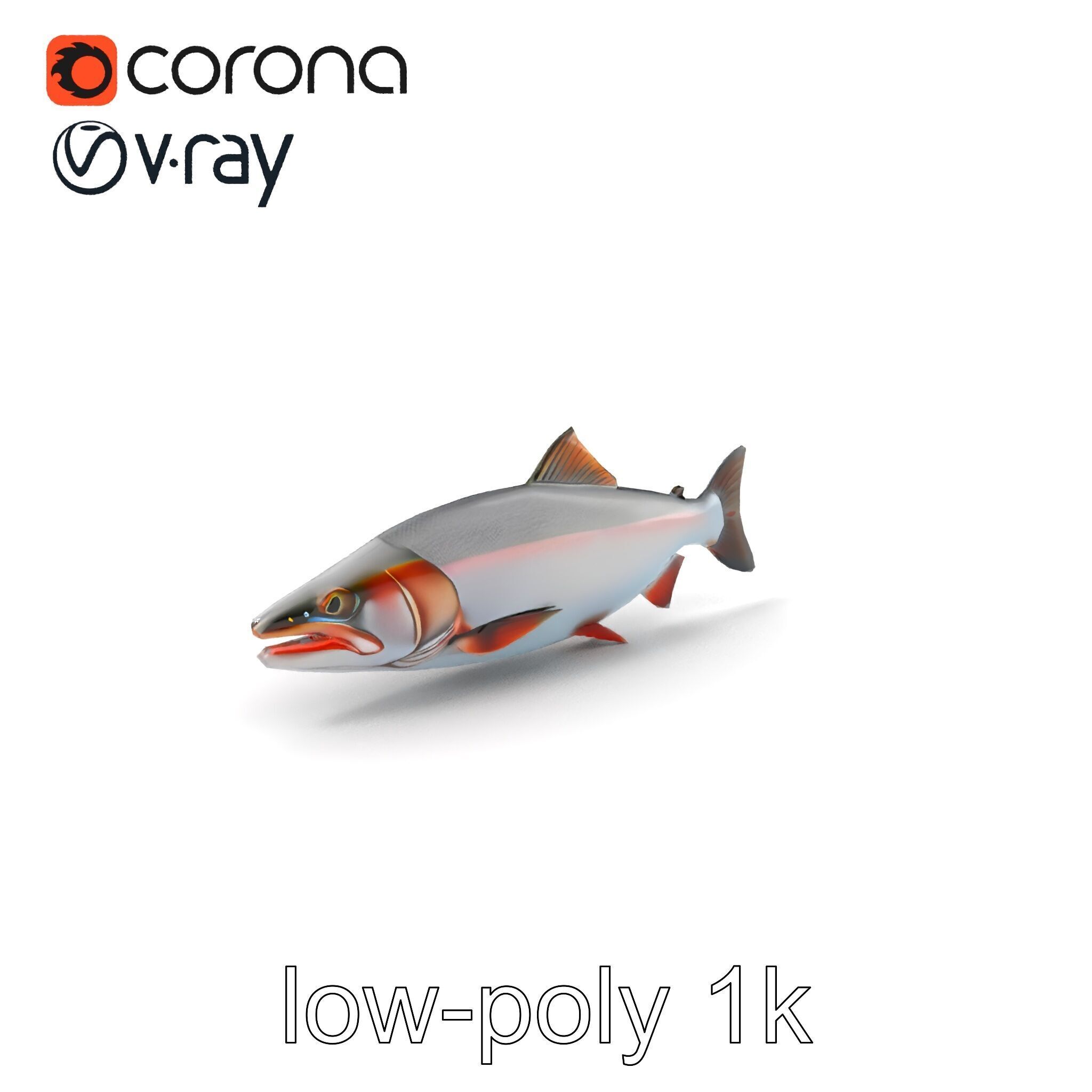 Steelhead Trout Migration Motion model pack Low-poly 3D model_4