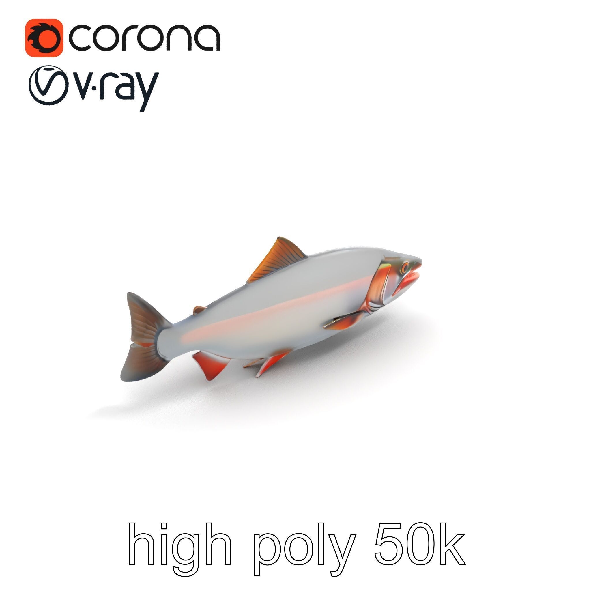Steelhead Trout Migration Motion model pack Low-poly 3D model_9