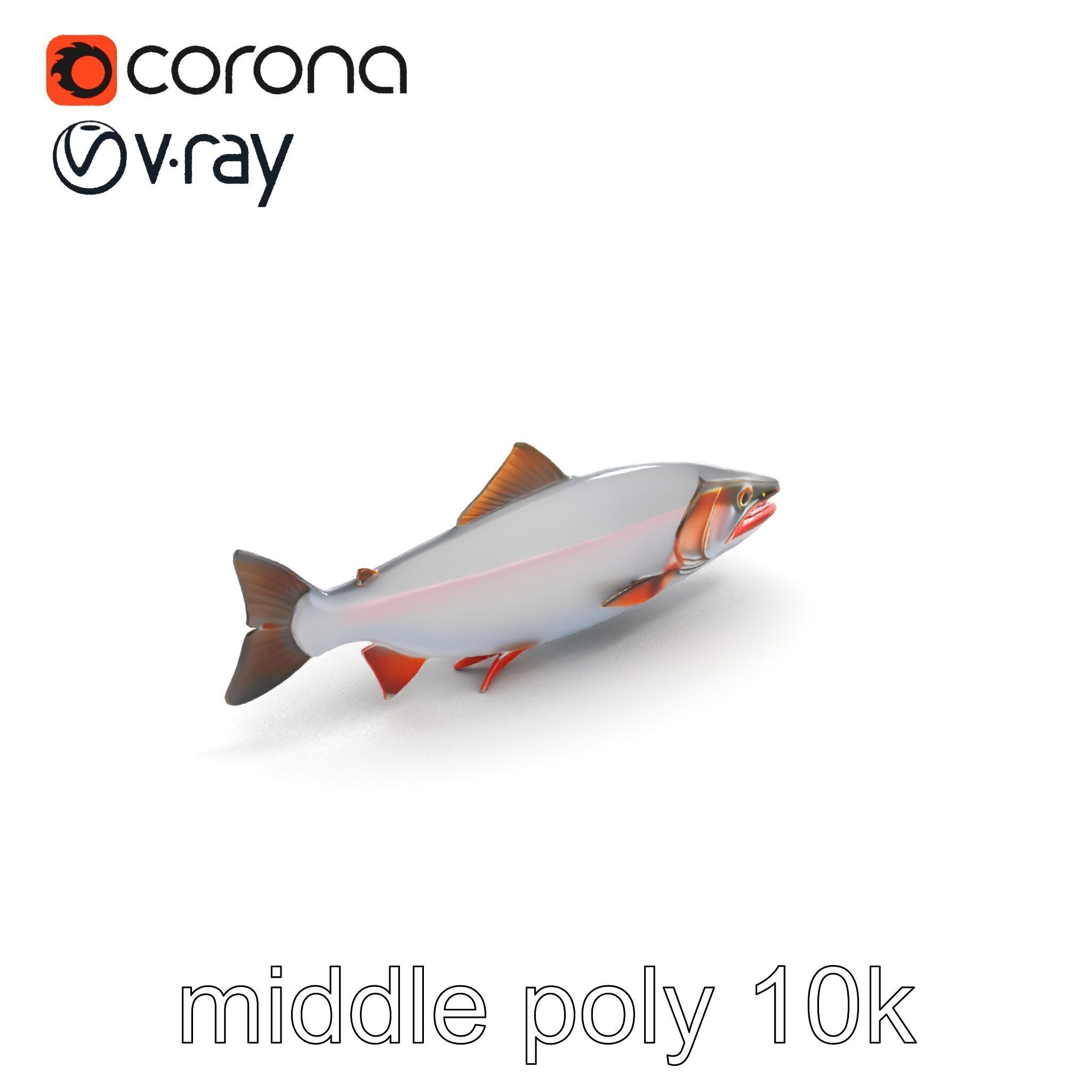 Steelhead Trout Migration Motion model pack Low-poly 3D model_7