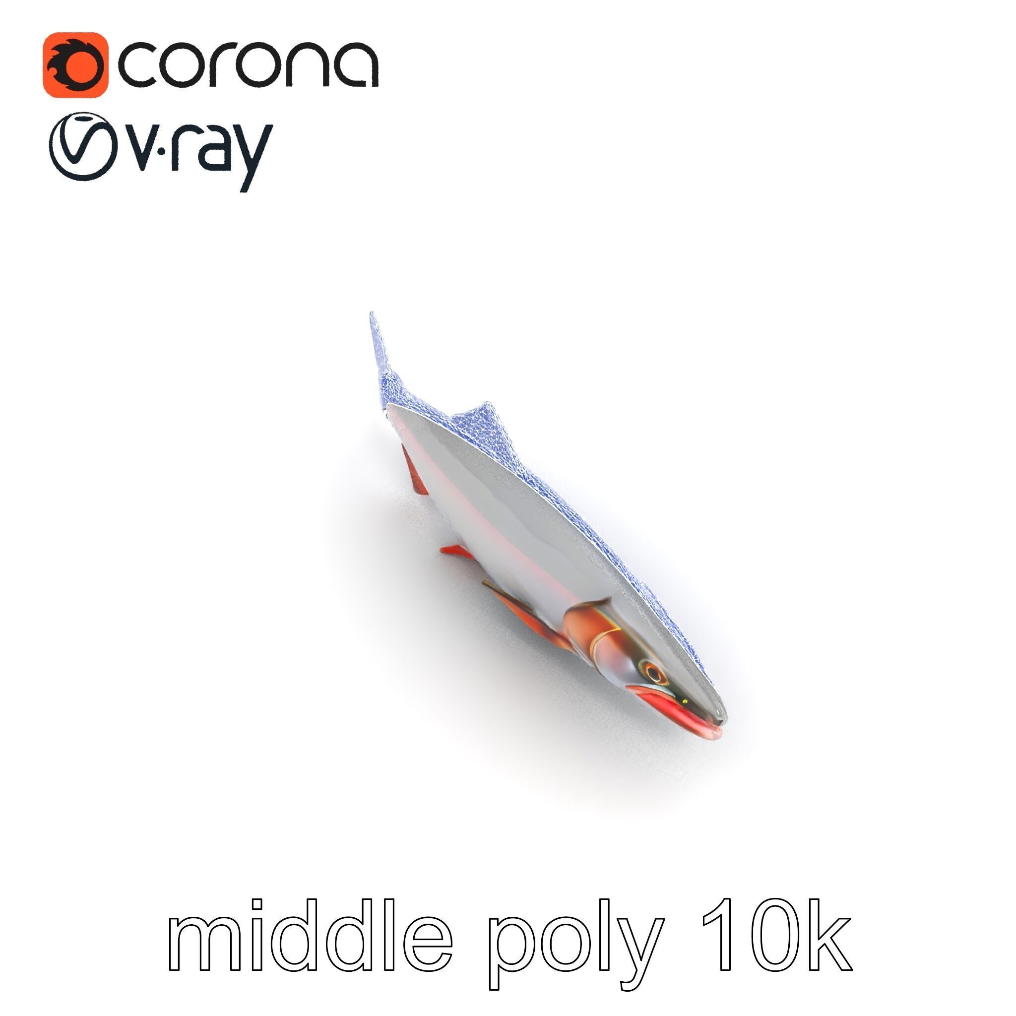 Steelhead Trout Migration Motion model pack Low-poly 3D model_28