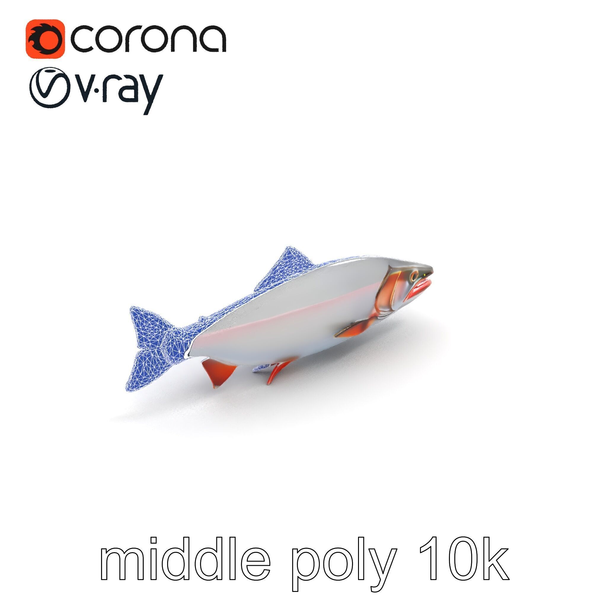 Steelhead Trout Migration Motion model pack Low-poly 3D model_10