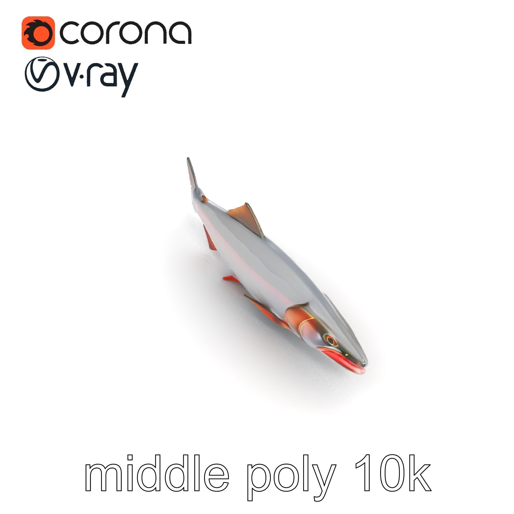 Steelhead Trout Migration Motion model pack Low-poly 3D model_24