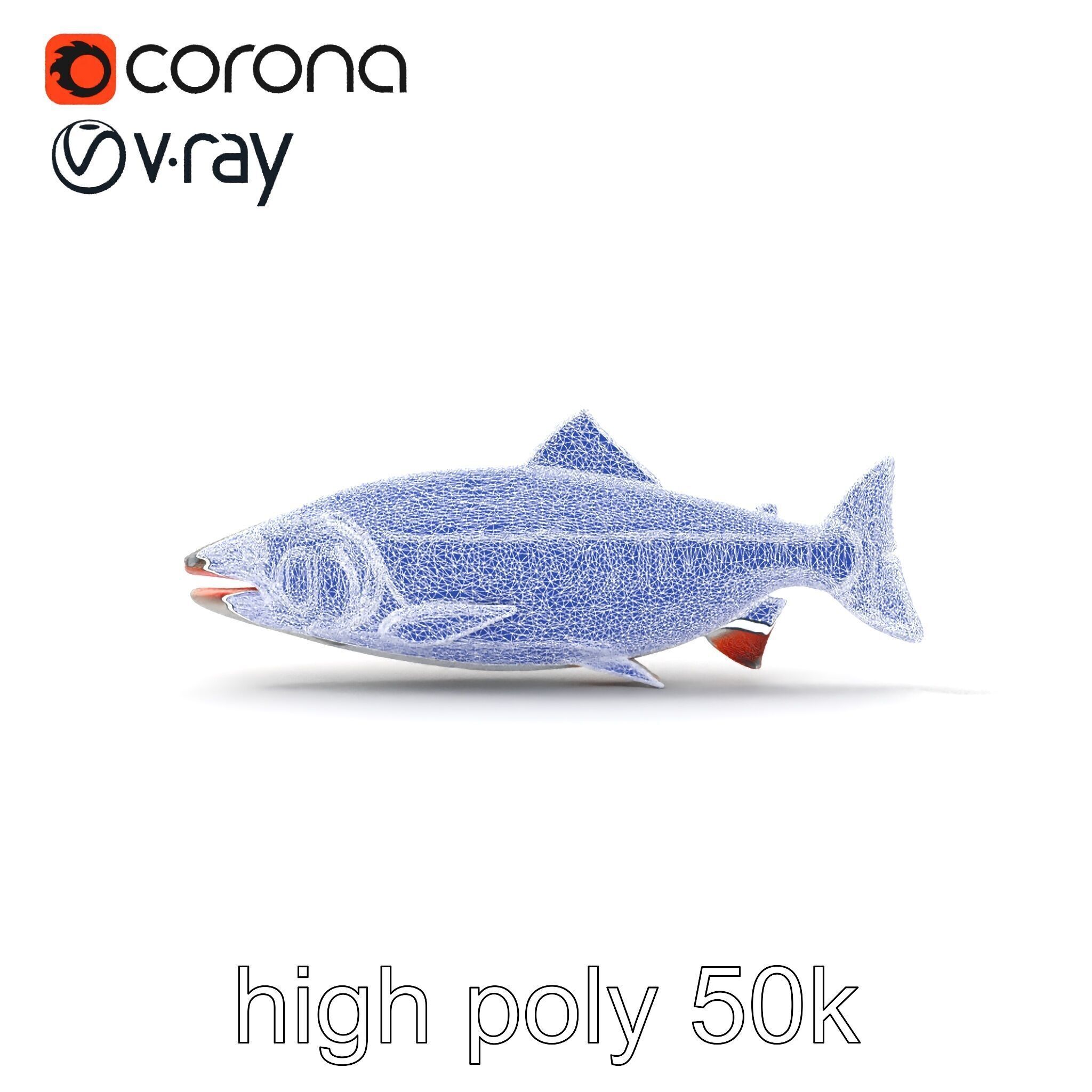 Steelhead Trout Migration Motion model pack Low-poly 3D model_30