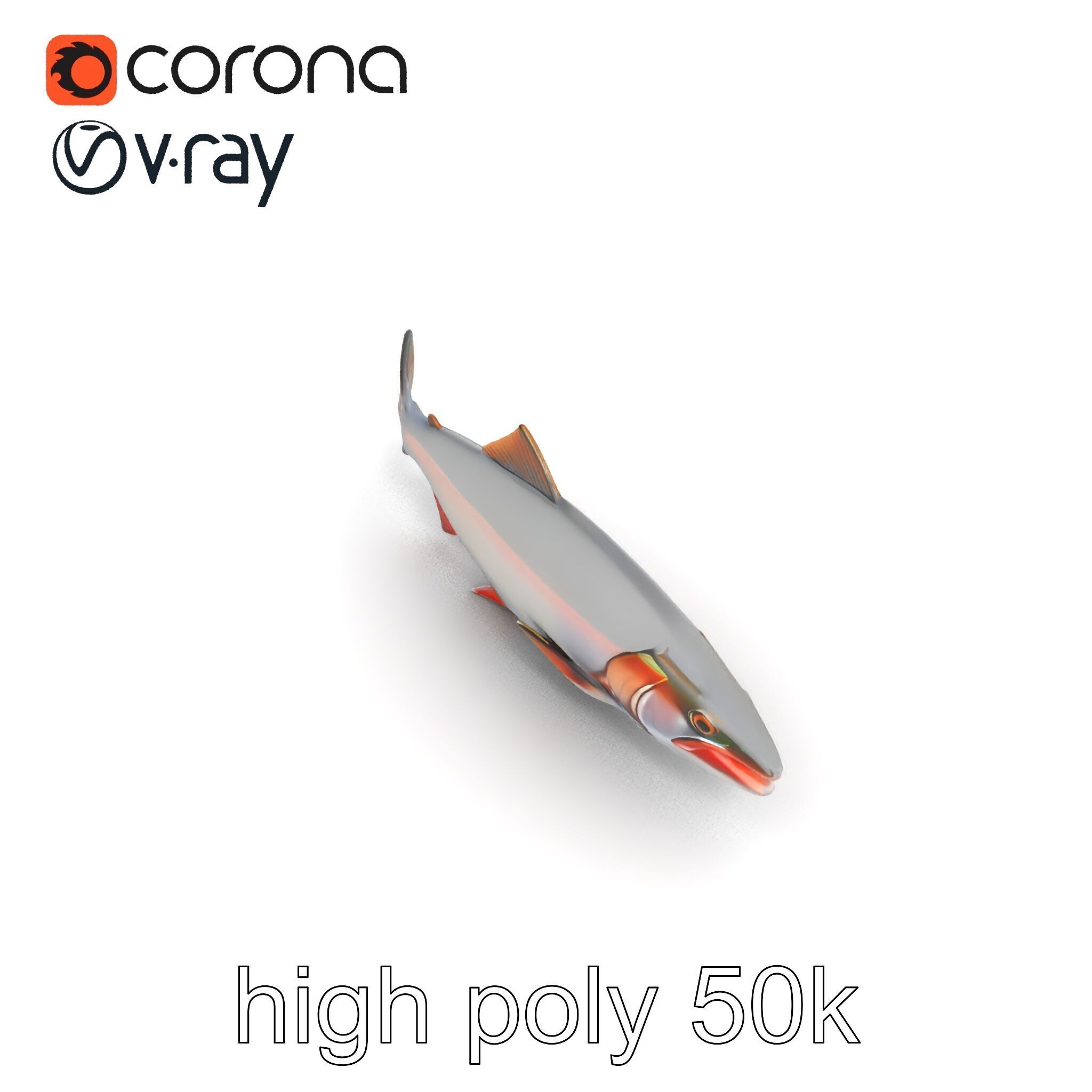 Steelhead Trout Migration Motion model pack Low-poly 3D model_11