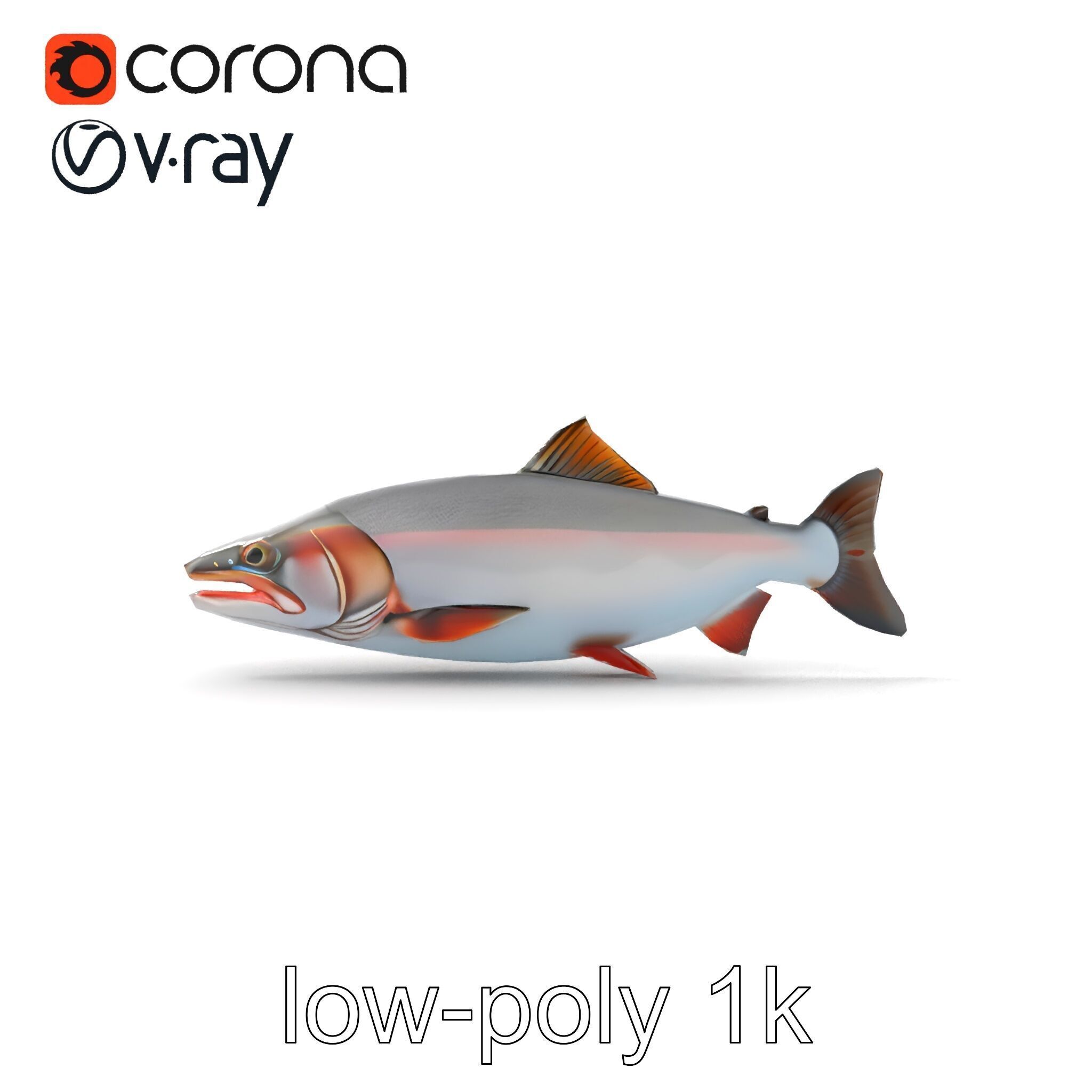 Steelhead Trout Migration Motion model pack Low-poly 3D model_23