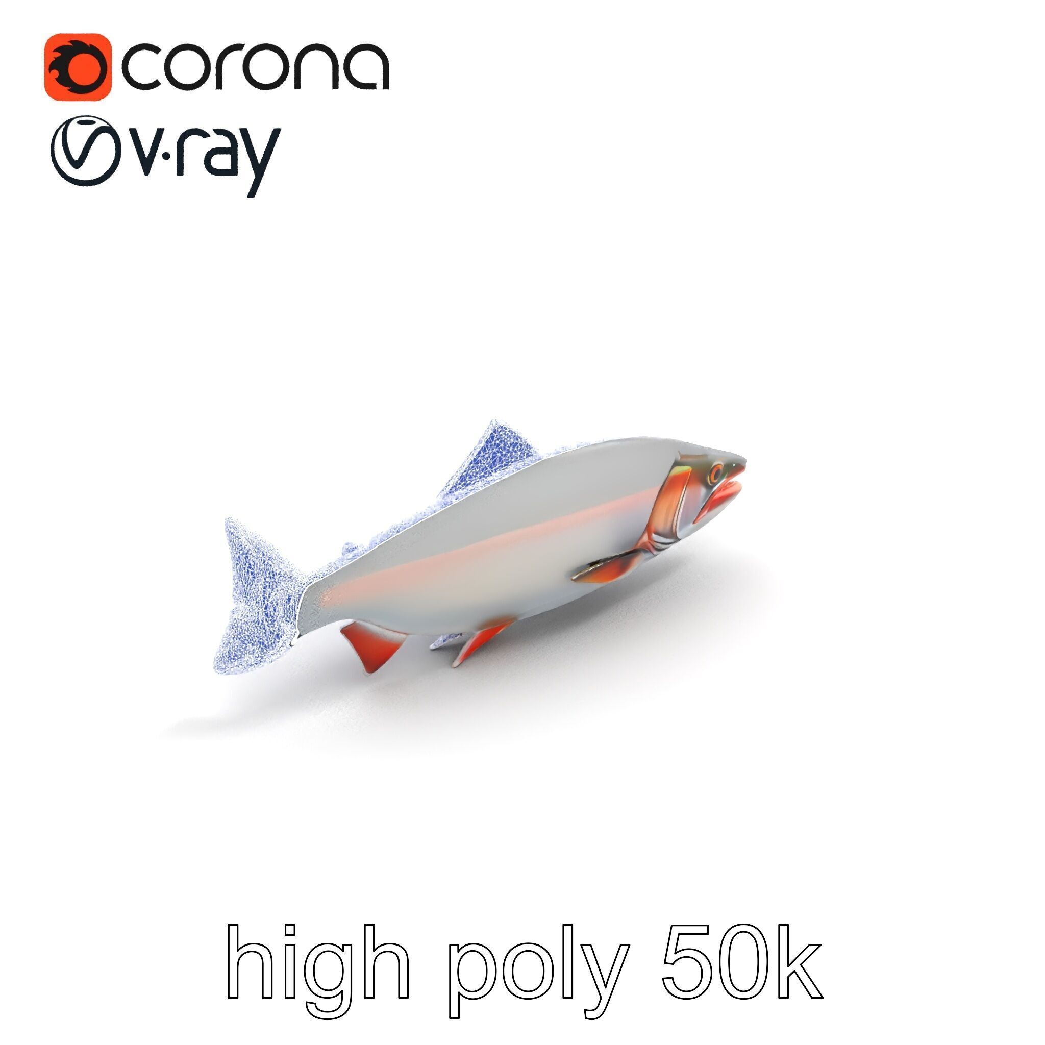 Steelhead Trout Migration Motion model pack Low-poly 3D model_26