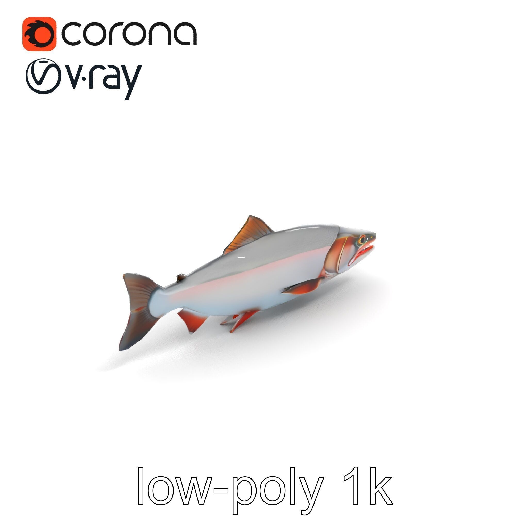 Steelhead Trout Migration Motion model pack Low-poly 3D model_8