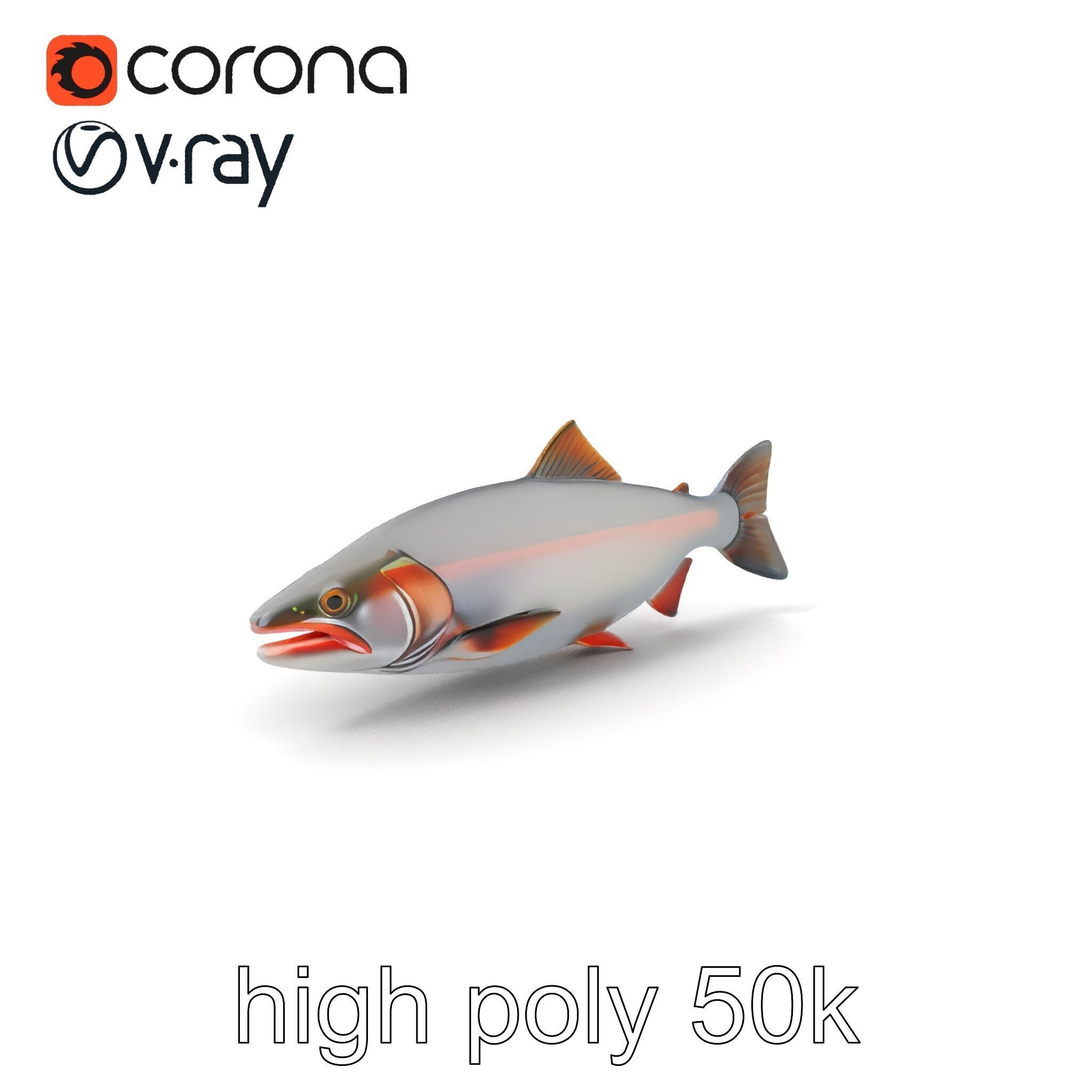 Steelhead Trout Migration Motion model pack Low-poly 3D model_2