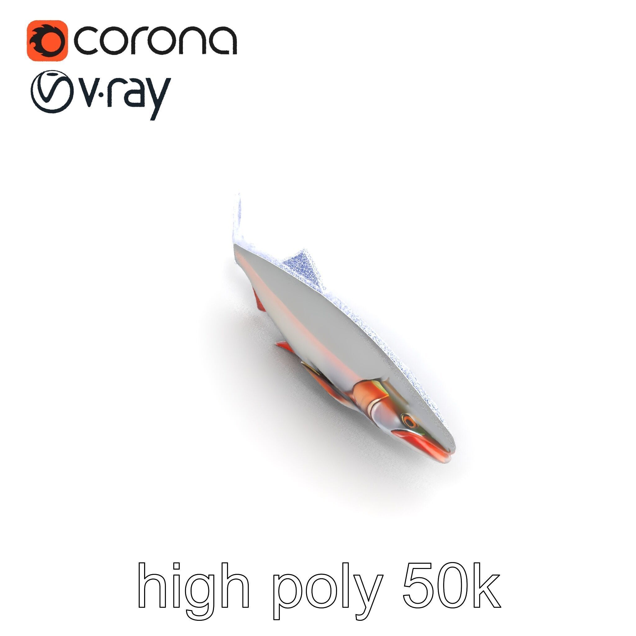 Steelhead Trout Migration Motion model pack Low-poly 3D model_13