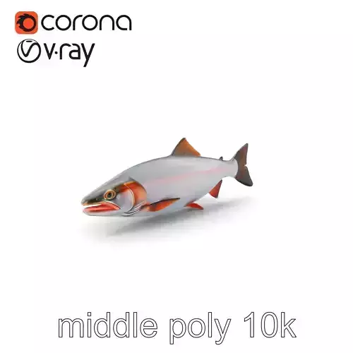 Steelhead Trout Migration Motion model pack Low-poly 3D model