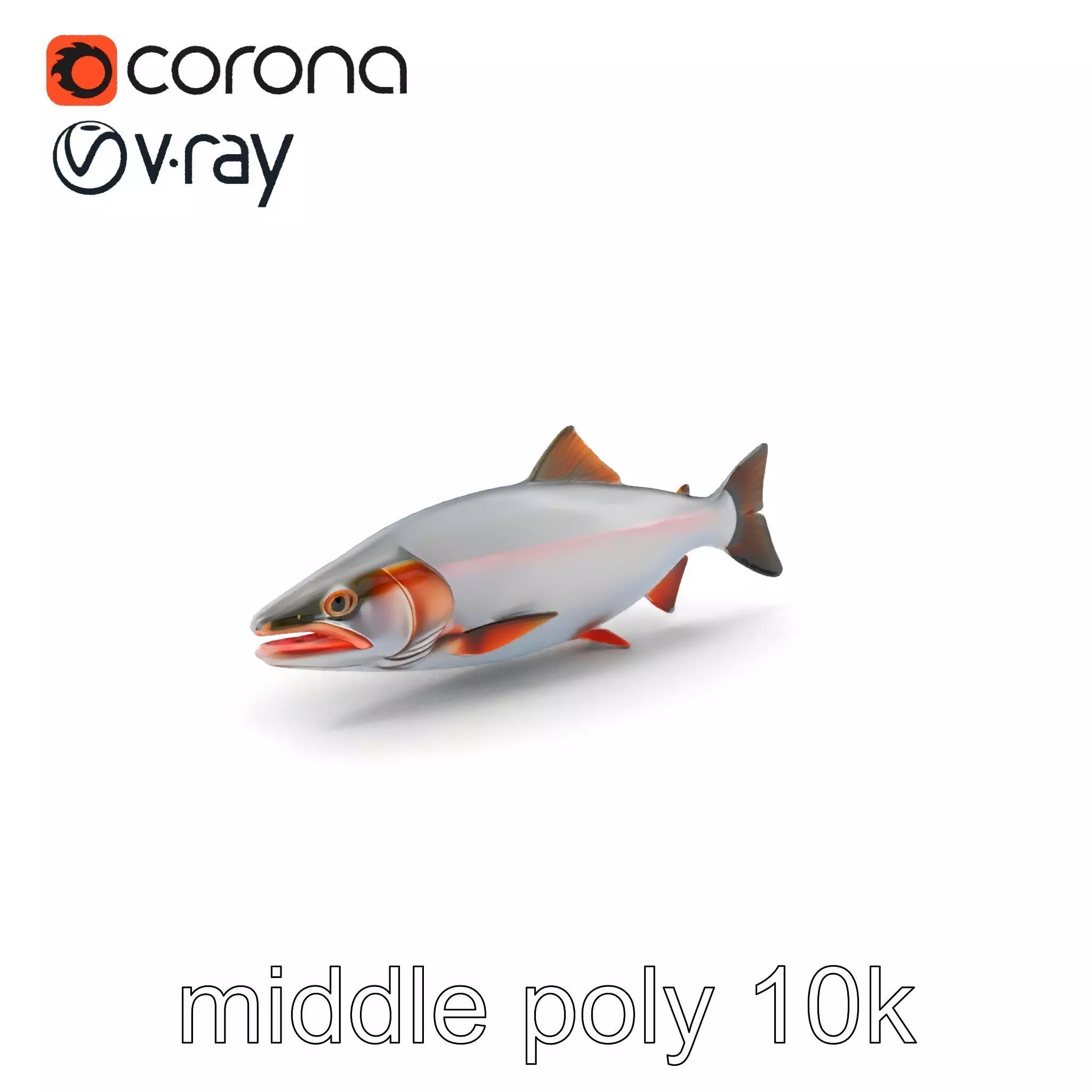Steelhead Trout Migration Motion model pack Low-poly 3D model_0