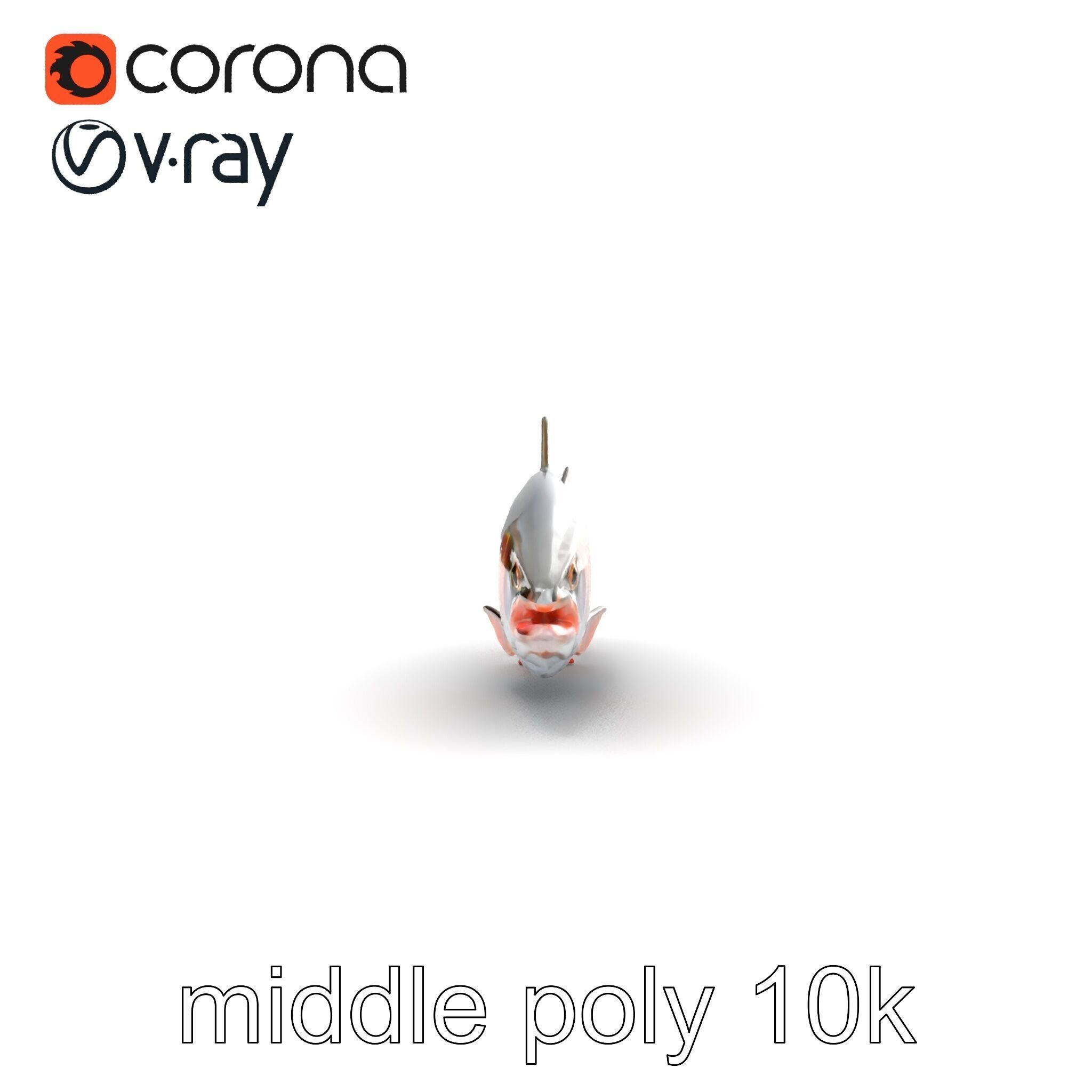 Steelhead Trout Migration Motion model pack Low-poly 3D model_19