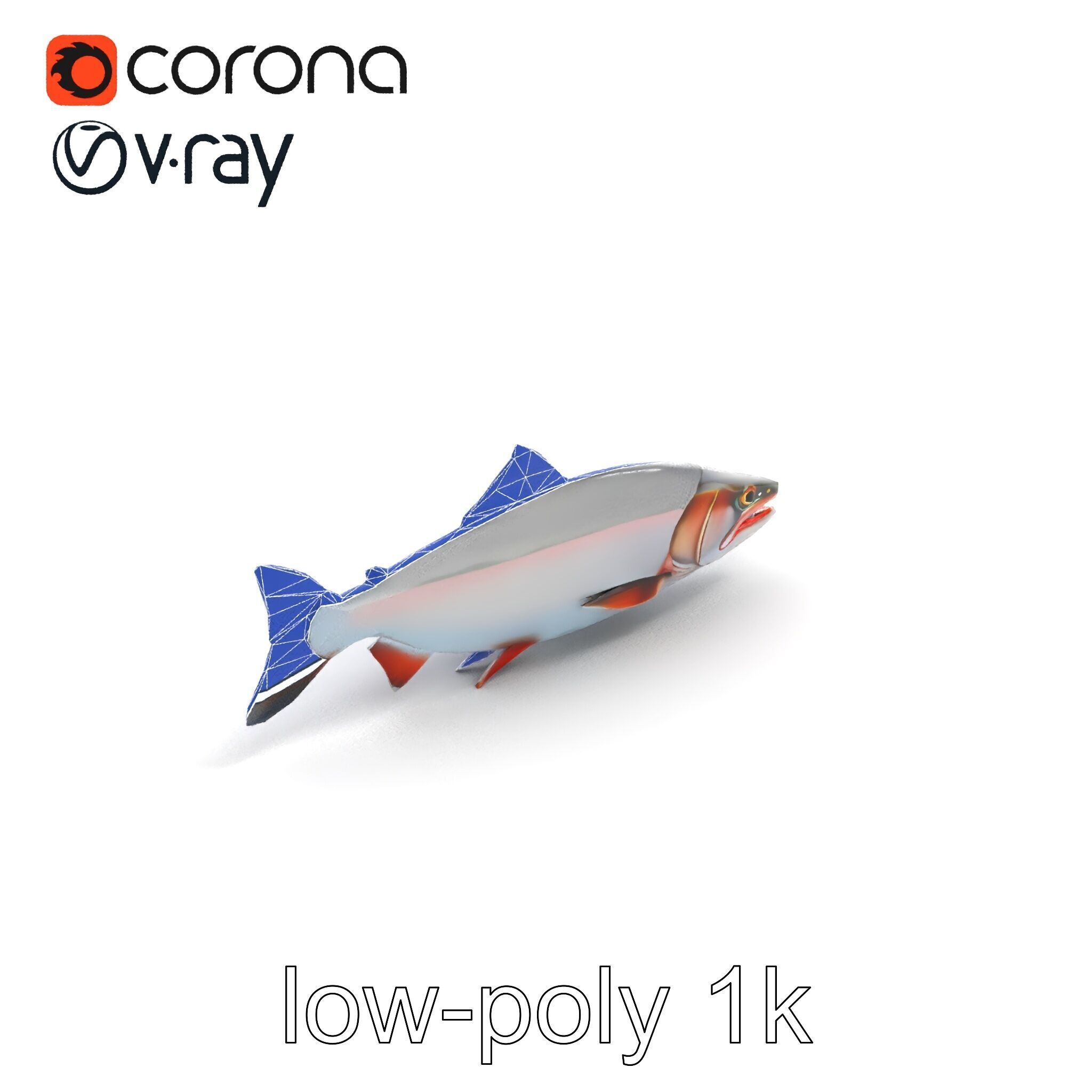 Steelhead Trout Migration Motion model pack Low-poly 3D model_29