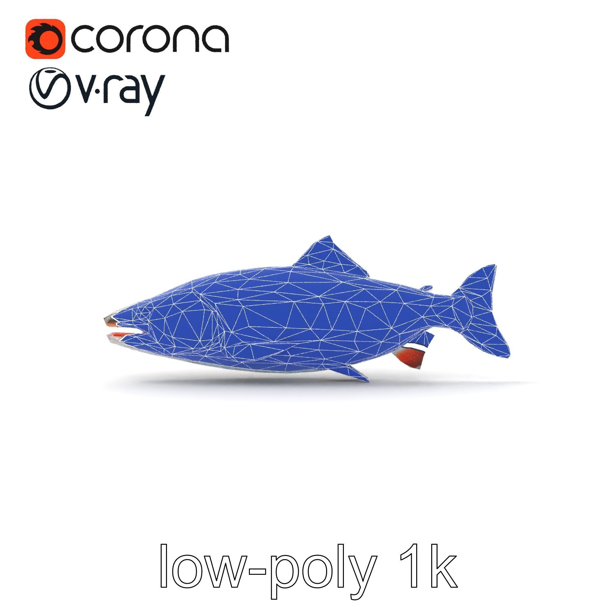 Steelhead Trout Migration Motion model pack Low-poly 3D model_25