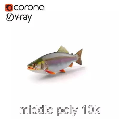 Lake Trout Seasonal Transformation model pack