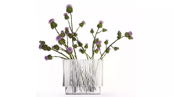 Green Bouquet Of  Dried Flowers Thistle thorns 516