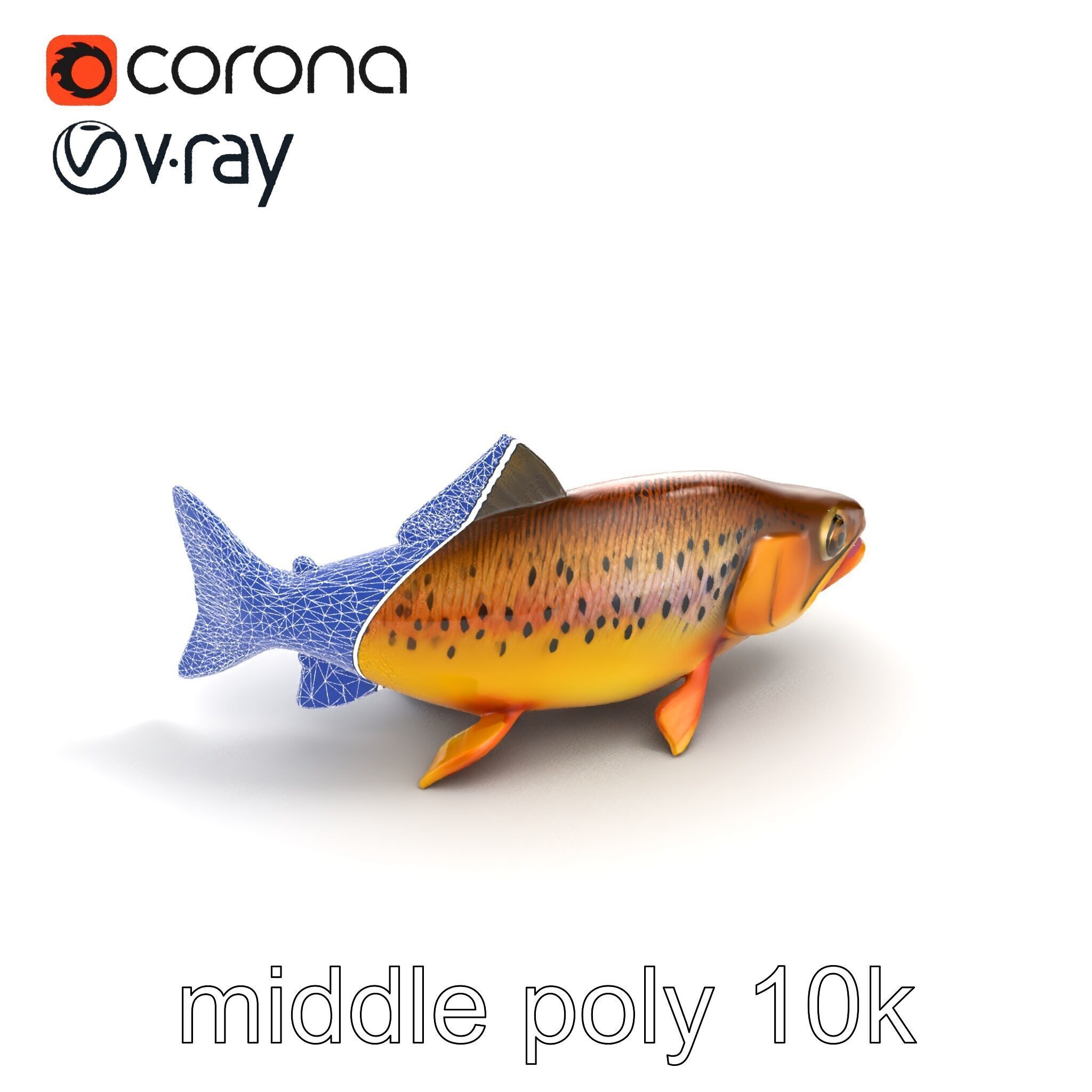 Bright Yellow Apache Trout 3D model pack with Detailed Textures Low-poly 3D model_13