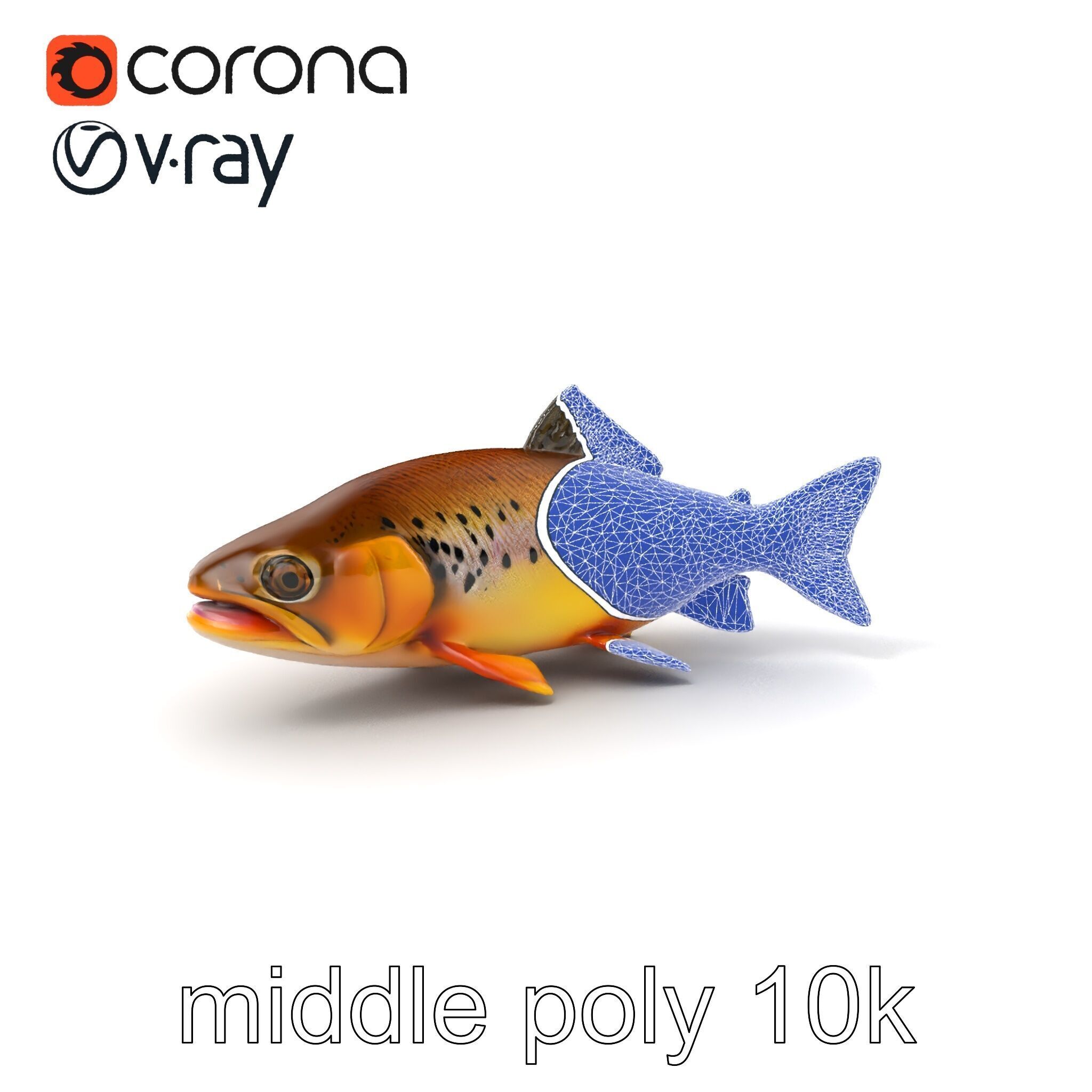 Bright Yellow Apache Trout 3D model pack with Detailed Textures Low-poly 3D model_5