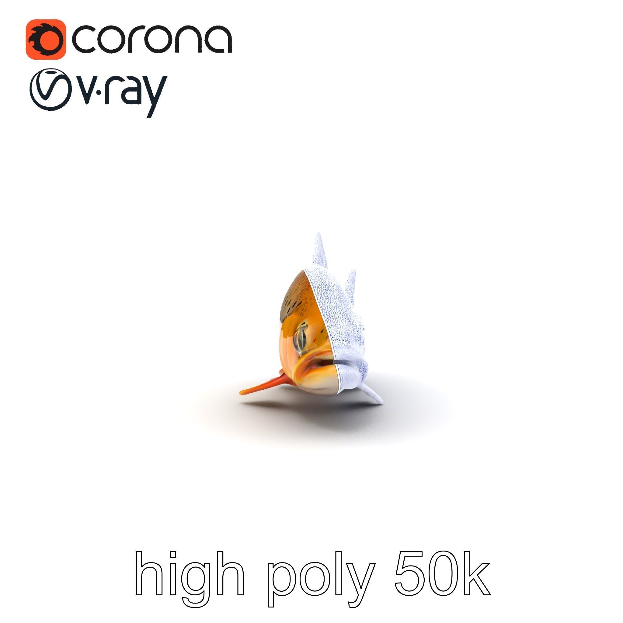 Bright Yellow Apache Trout 3D model pack with Detailed Textures Low-poly 3D model_17