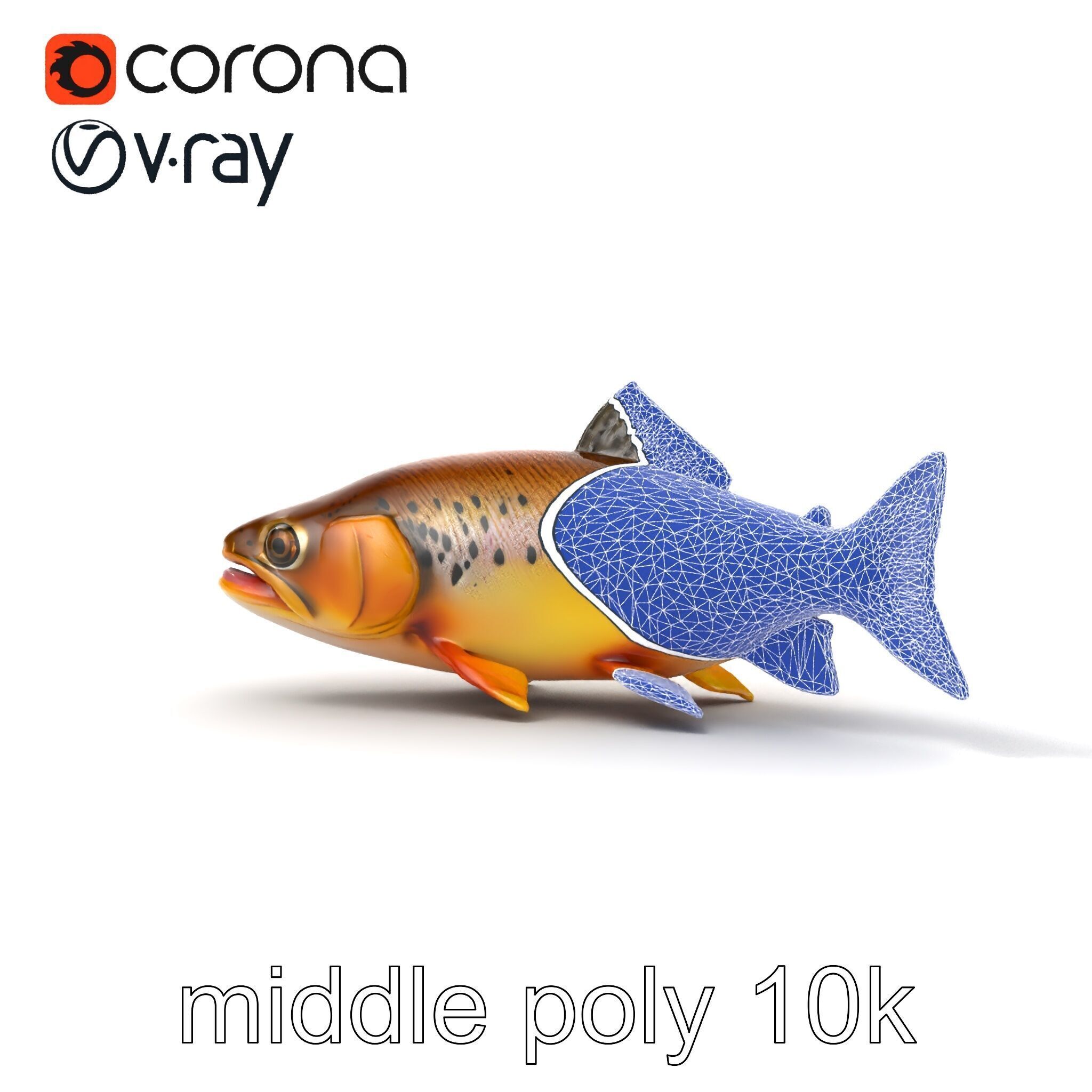 Bright Yellow Apache Trout 3D model pack with Detailed Textures Low-poly 3D model_21