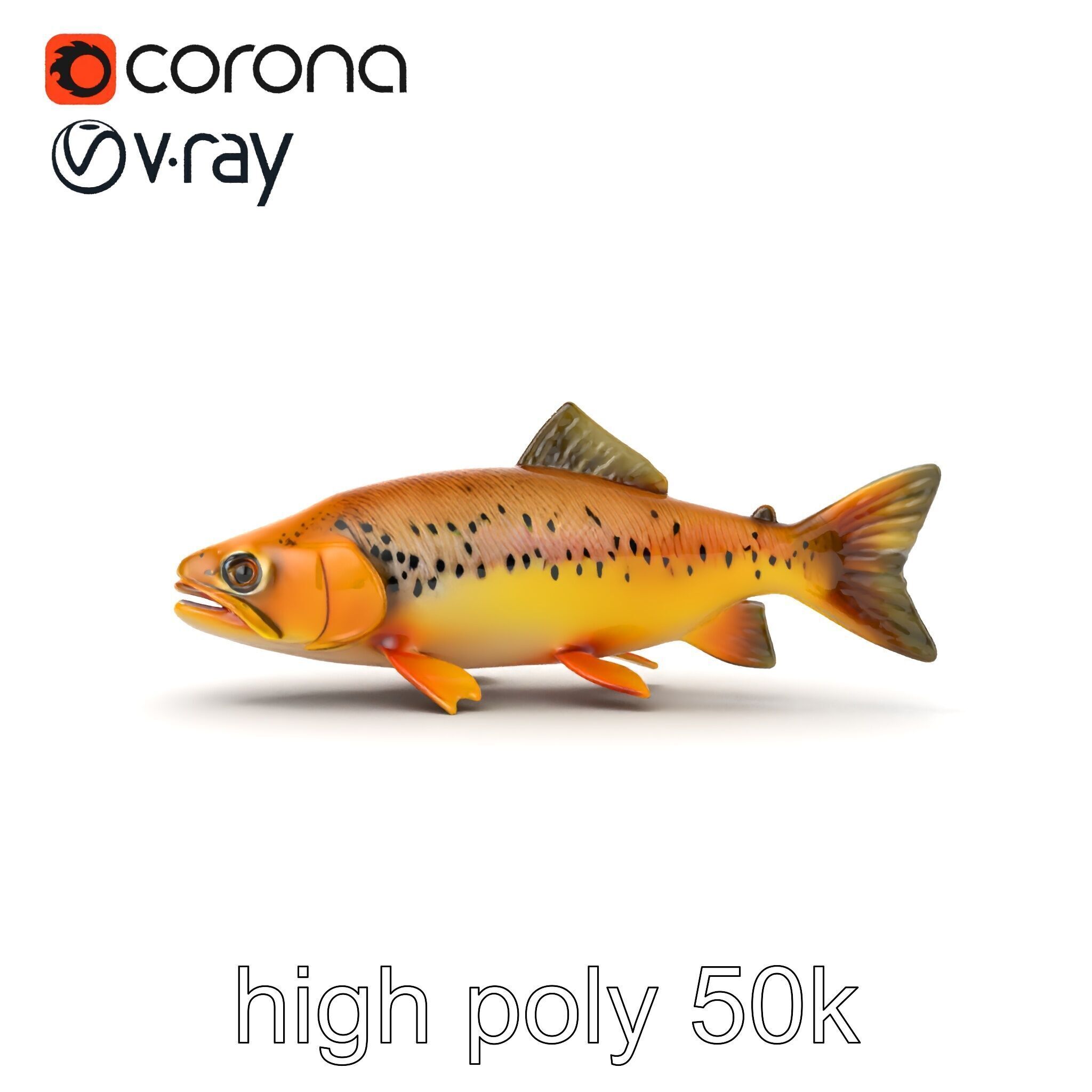Bright Yellow Apache Trout 3D model pack with Detailed Textures Low-poly 3D model_12