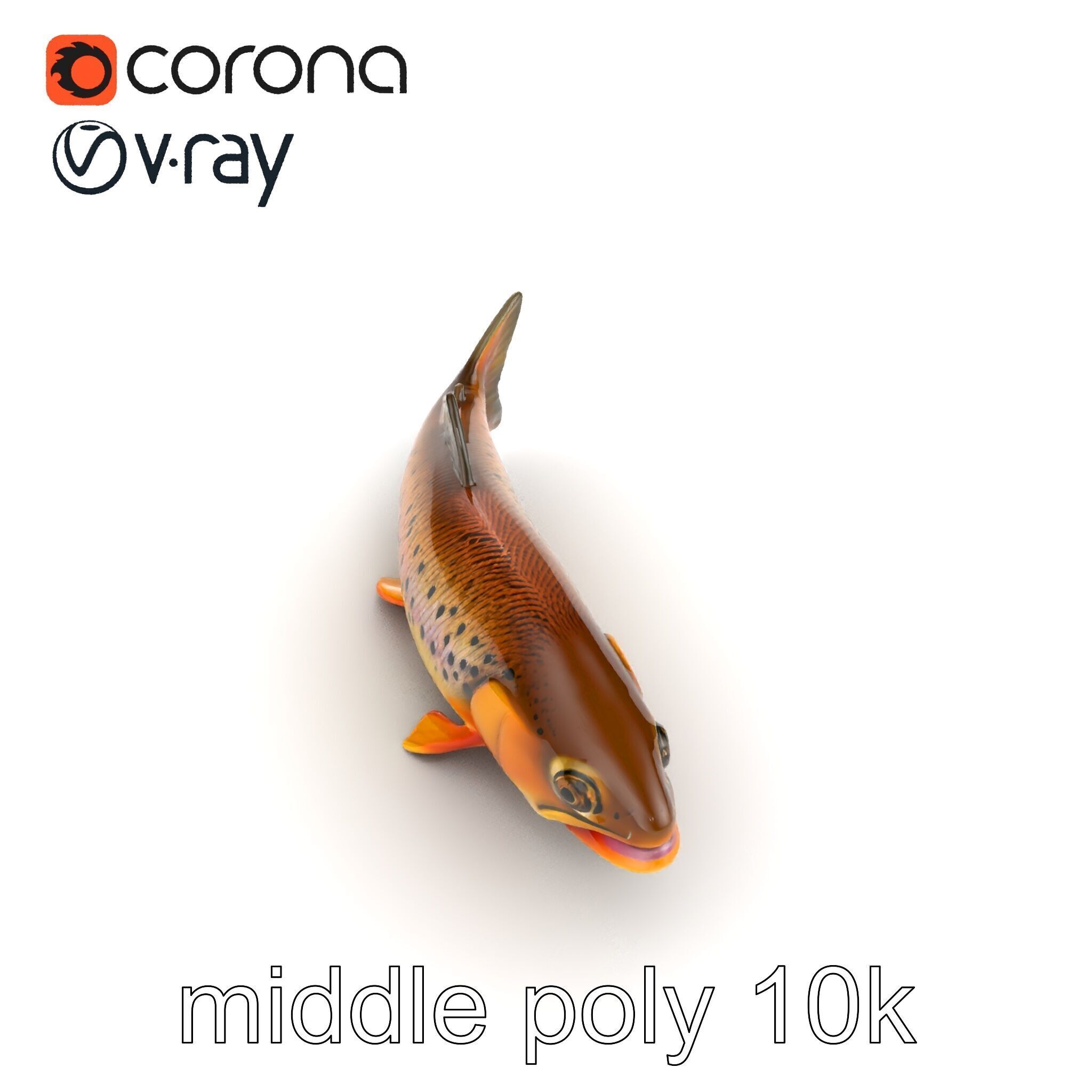 Bright Yellow Apache Trout 3D model pack with Detailed Textures Low-poly 3D model_18