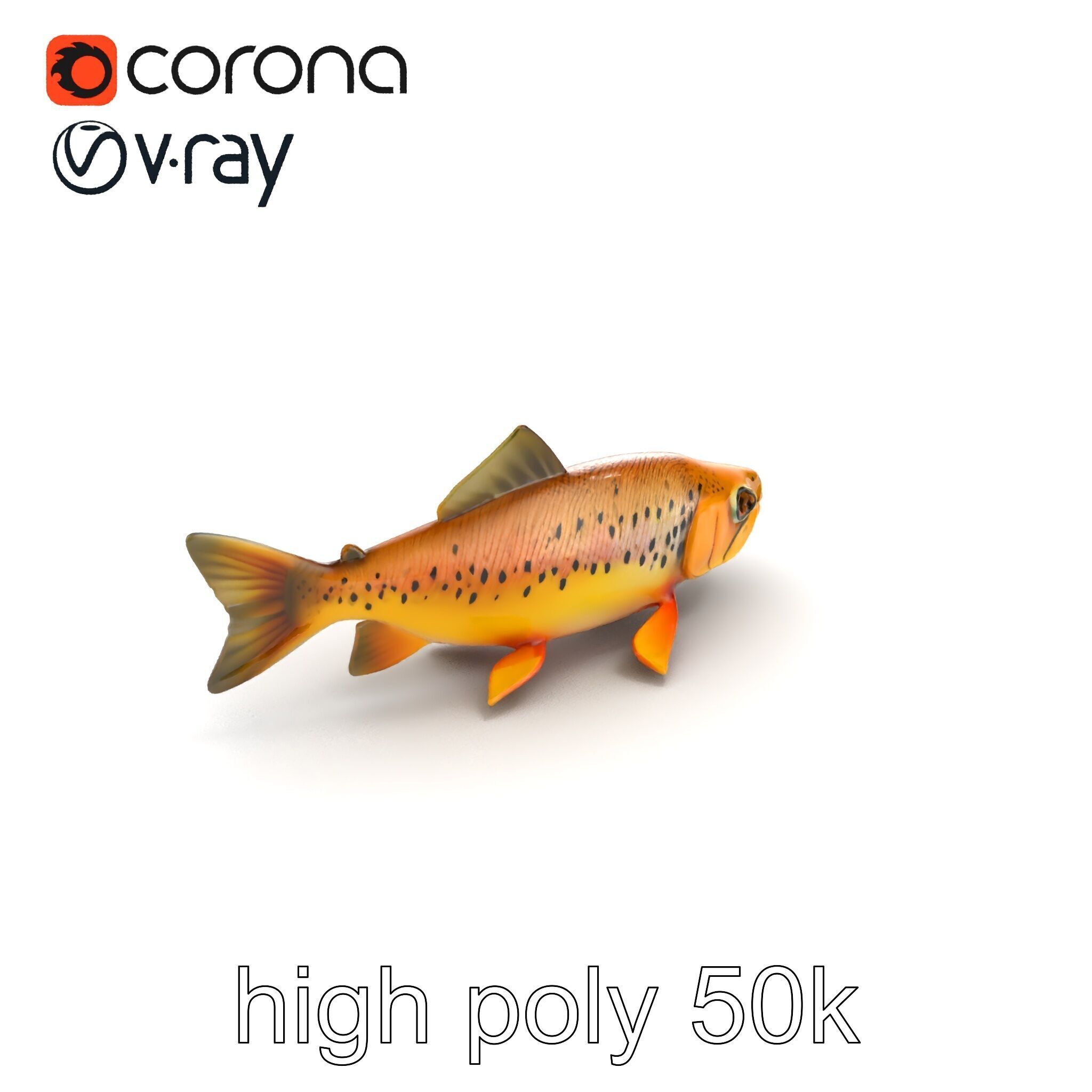 Bright Yellow Apache Trout 3D model pack with Detailed Textures Low-poly 3D model_9