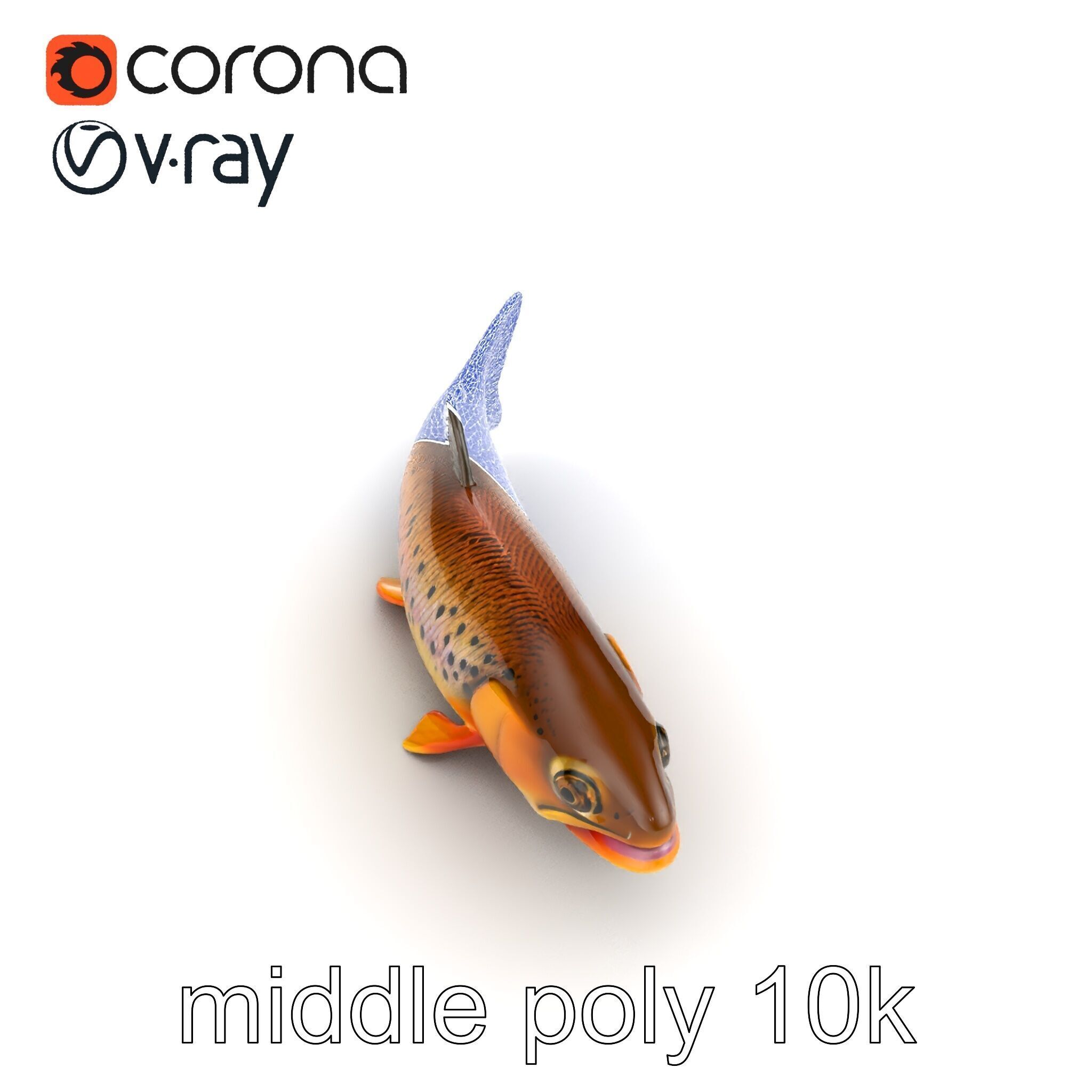 Bright Yellow Apache Trout 3D model pack with Detailed Textures Low-poly 3D model_23