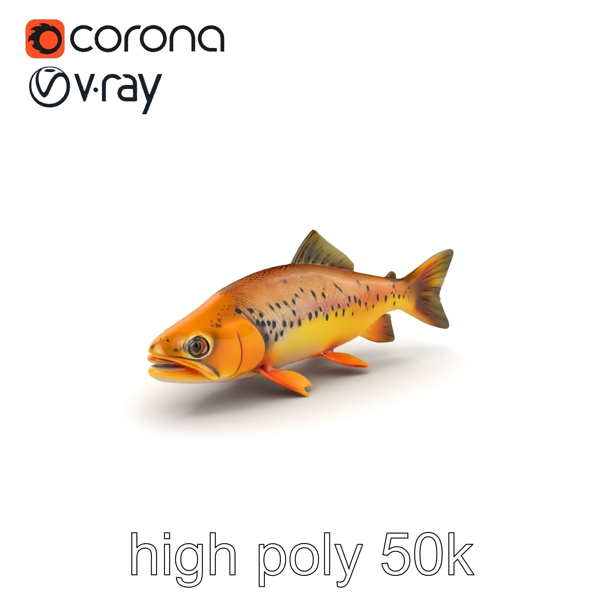 Bright Yellow Apache Trout 3D model pack with Detailed Textures Low-poly 3D model_2