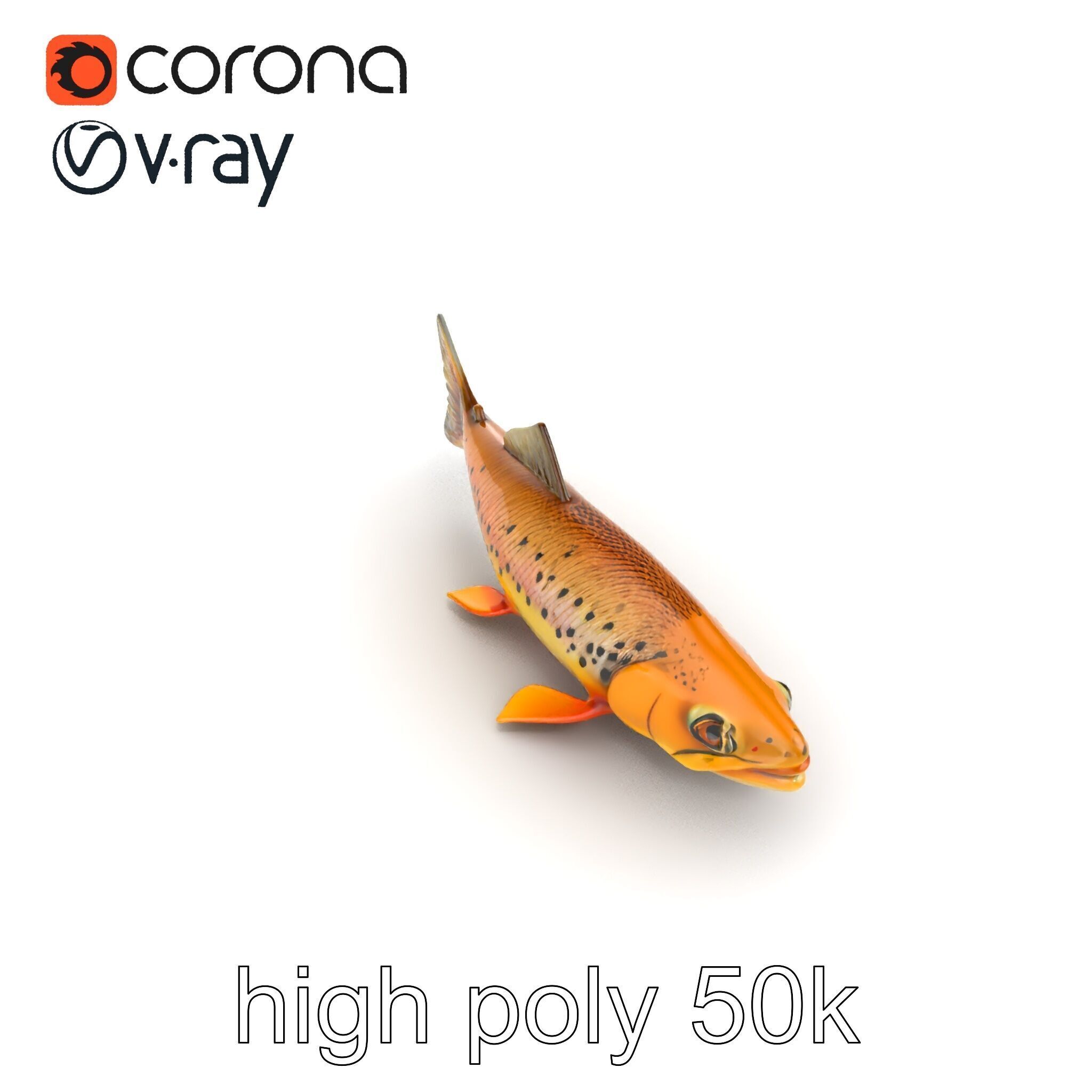 Bright Yellow Apache Trout 3D model pack with Detailed Textures Low-poly 3D model_15