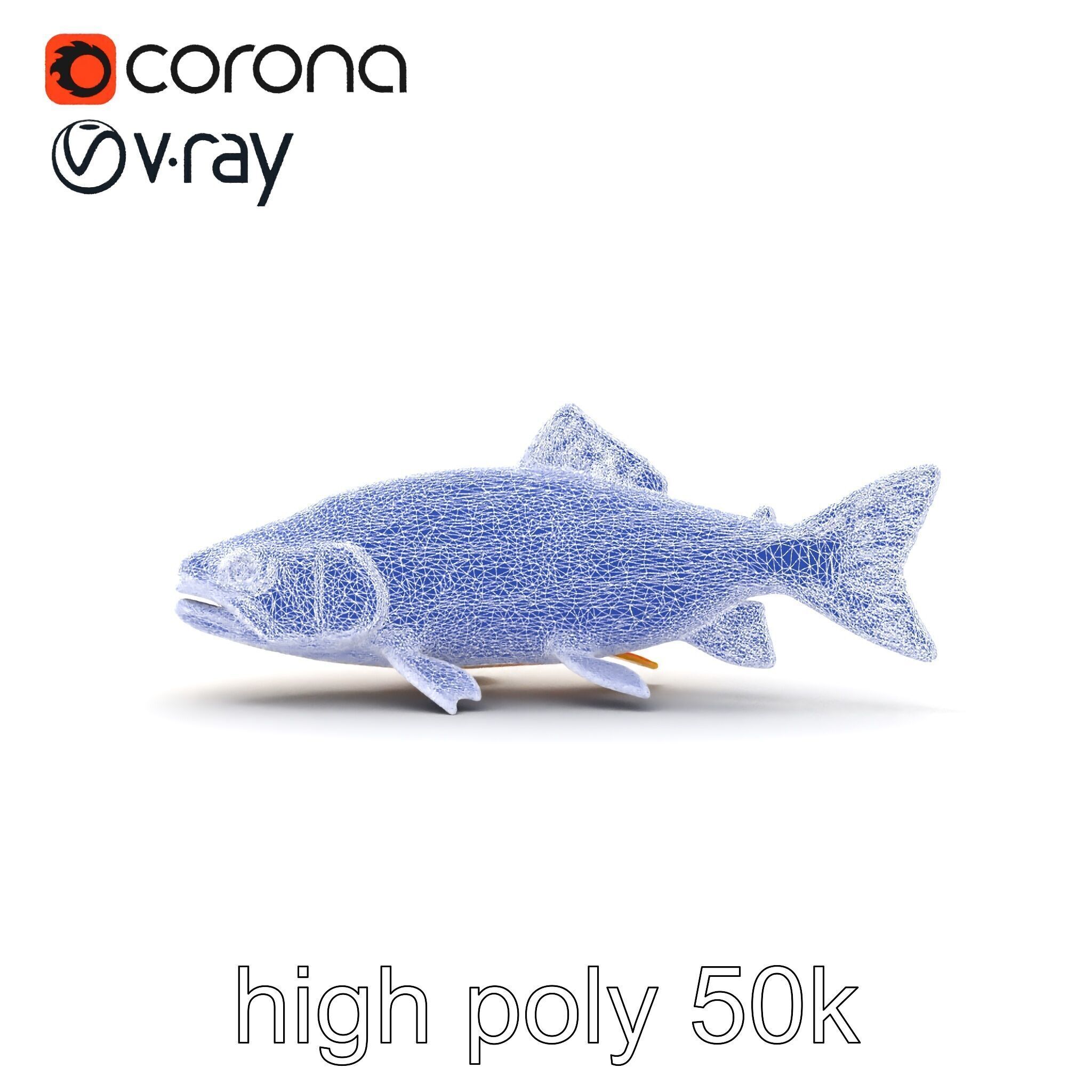 Bright Yellow Apache Trout 3D model pack with Detailed Textures Low-poly 3D model_27