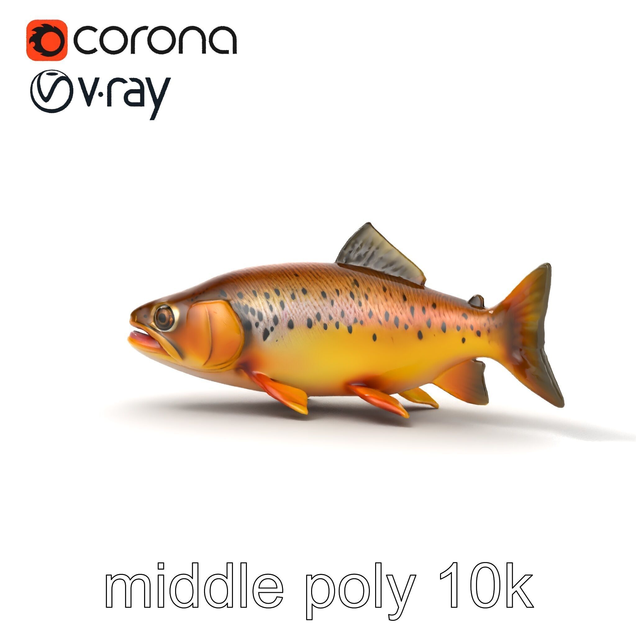 Bright Yellow Apache Trout 3D model pack with Detailed Textures Low-poly 3D model_16