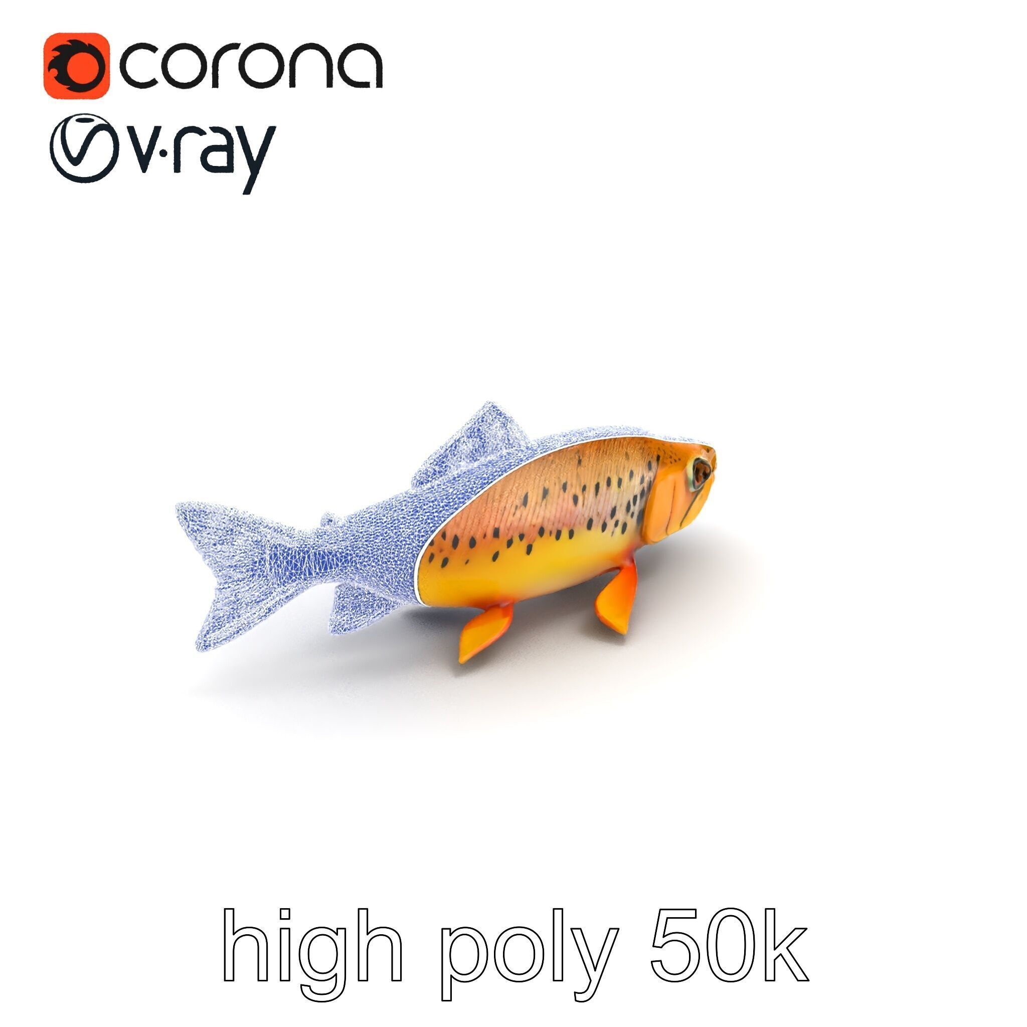 Bright Yellow Apache Trout 3D model pack with Detailed Textures Low-poly 3D model_10