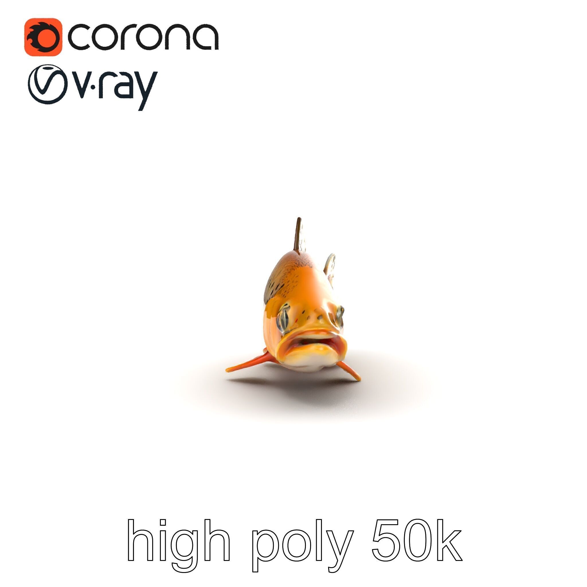 Bright Yellow Apache Trout 3D model pack with Detailed Textures Low-poly 3D model_19