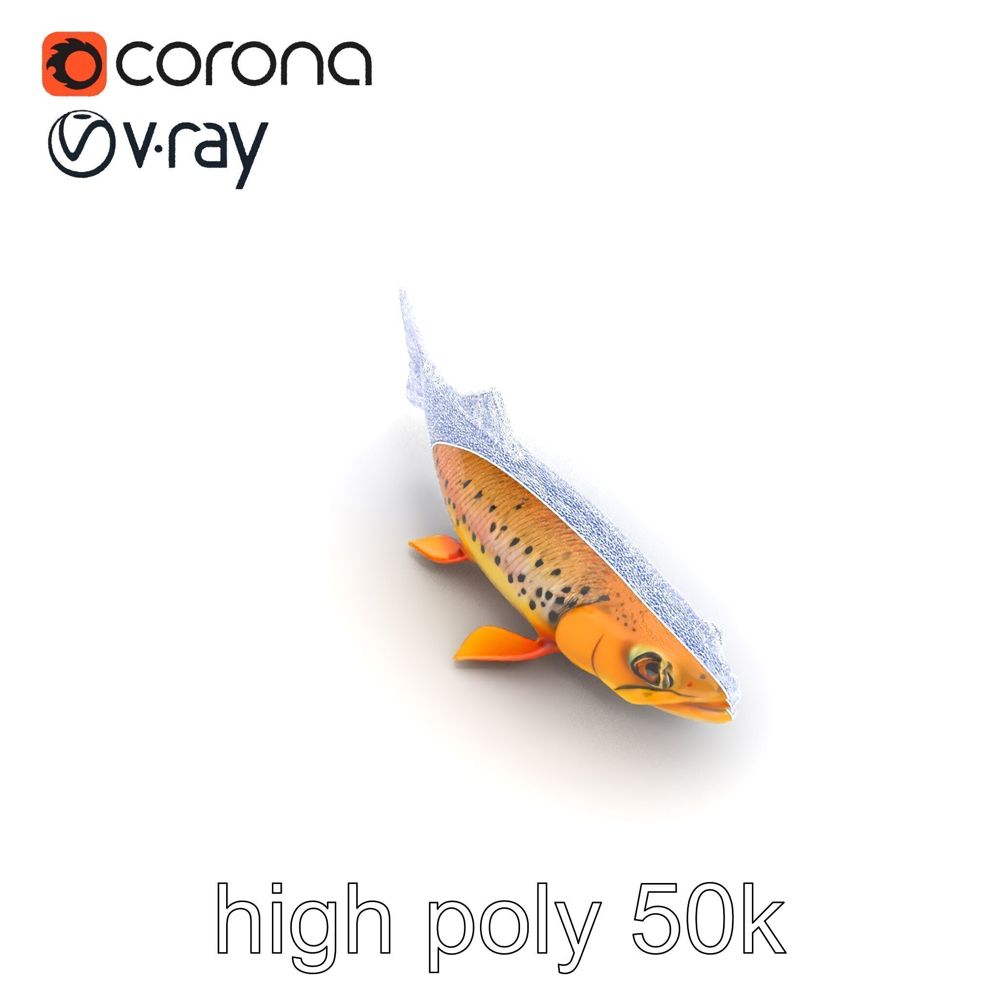 Bright Yellow Apache Trout 3D model pack with Detailed Textures Low-poly 3D model_25