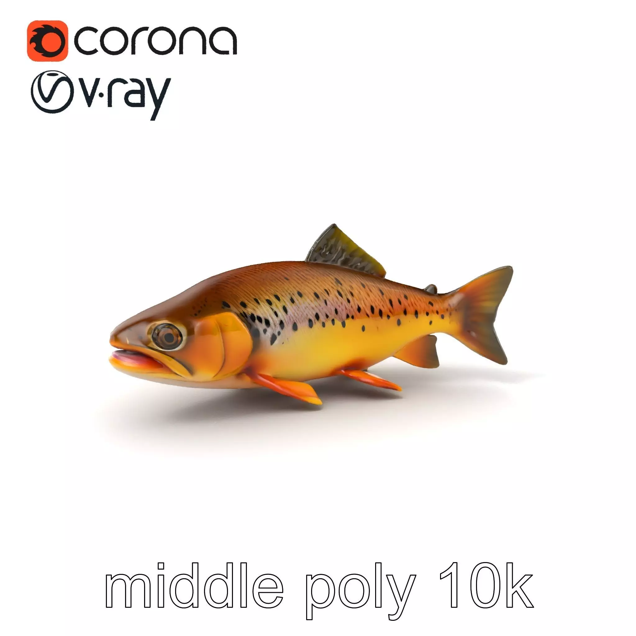 Bright Yellow Apache Trout 3D model pack with Detailed Textures Low-poly 3D model_0