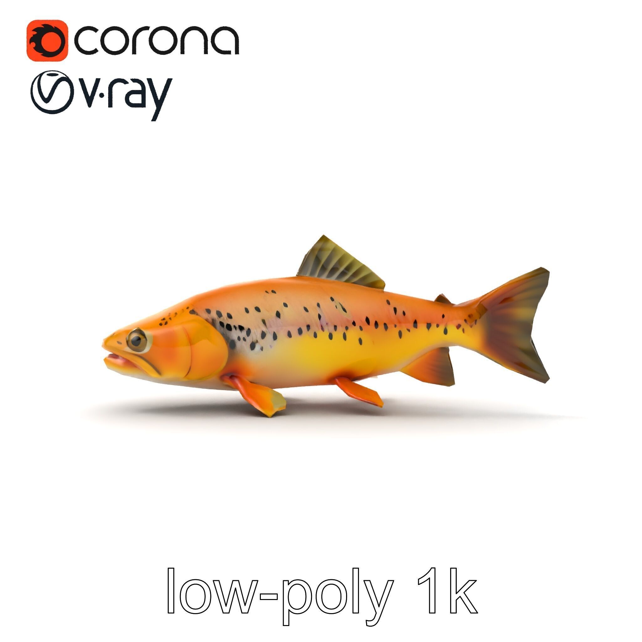 Bright Yellow Apache Trout 3D model pack with Detailed Textures Low-poly 3D model_14