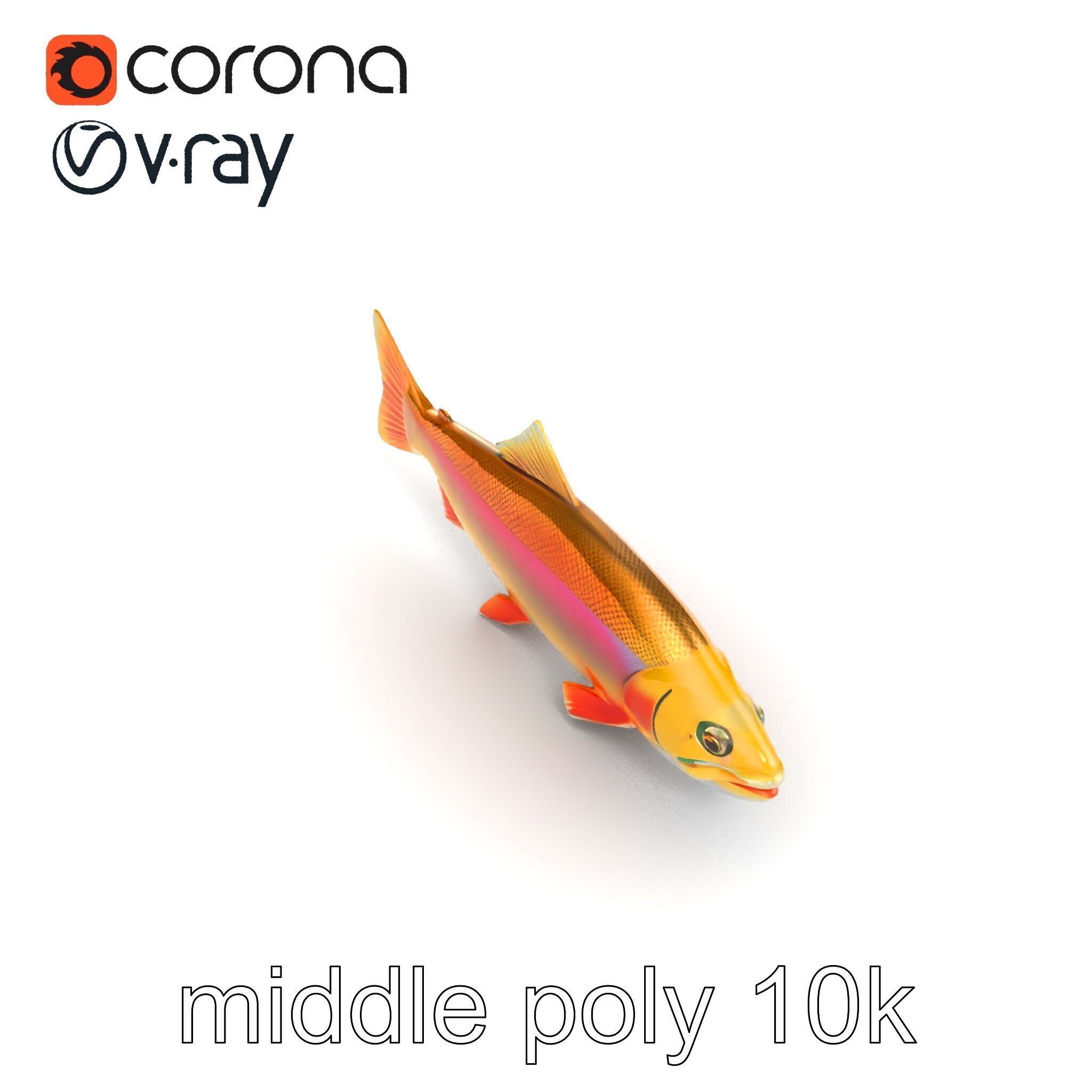 Golden Rainbow Trout 3D Realistic Model Pack Low-poly 3D model_24