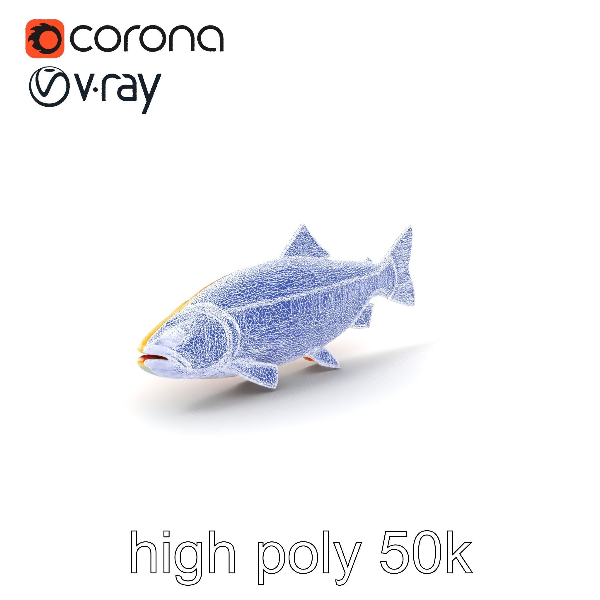 Golden Rainbow Trout 3D Realistic Model Pack Low-poly 3D model_10