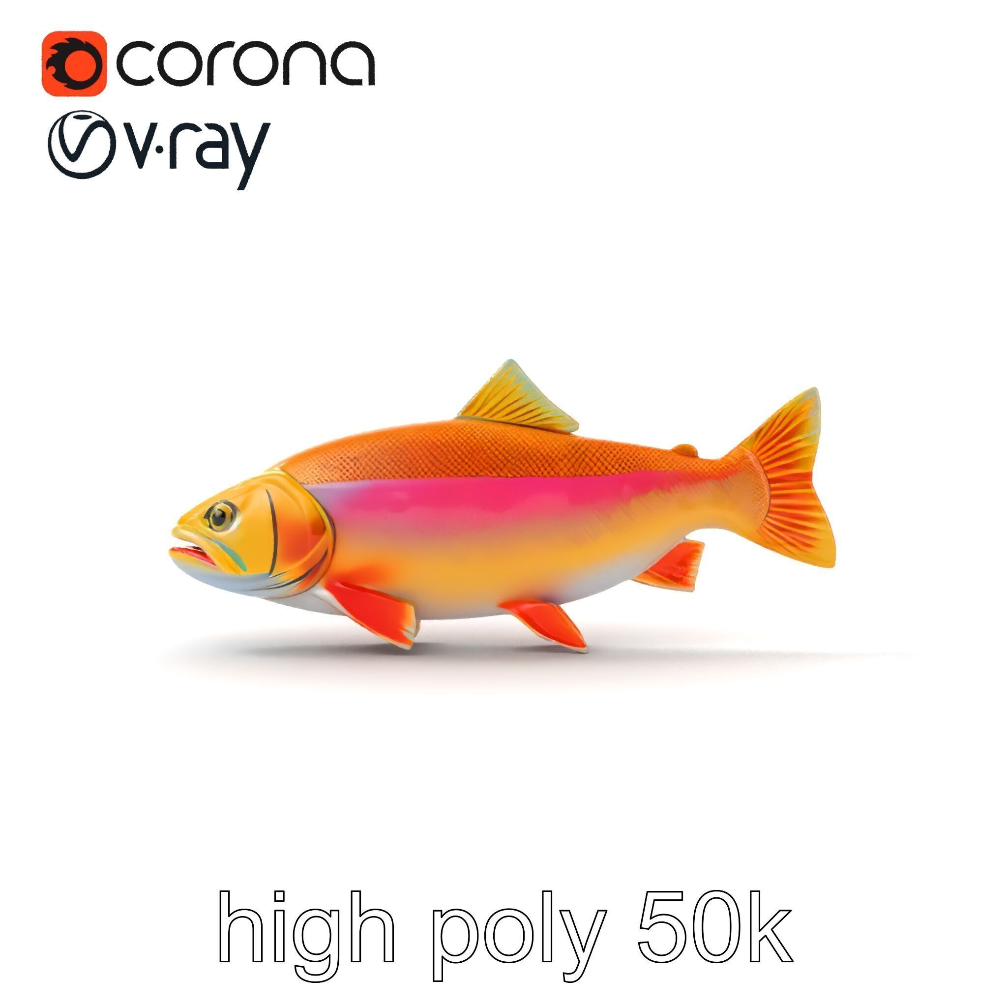 Golden Rainbow Trout 3D Realistic Model Pack Low-poly 3D model_18