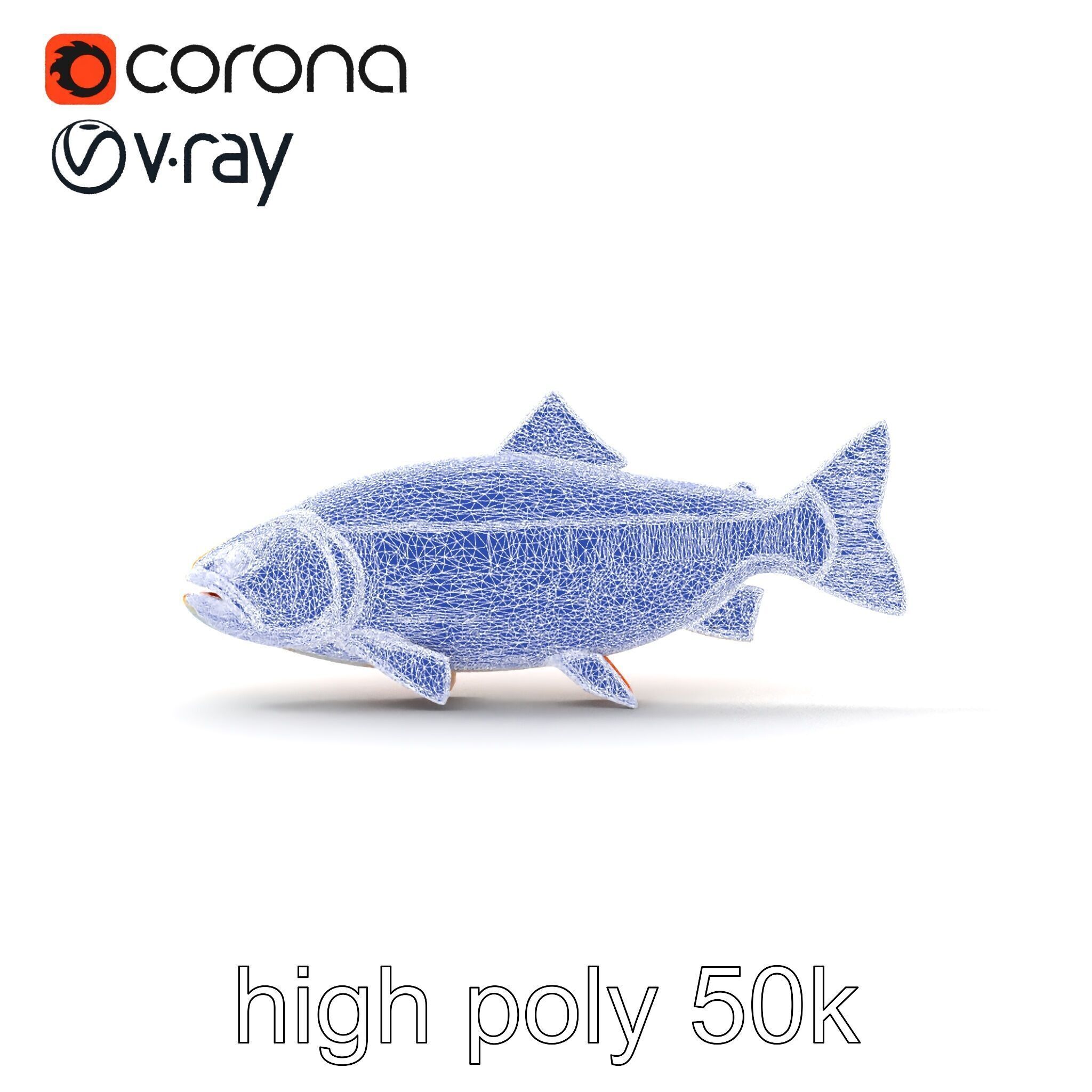 Golden Rainbow Trout 3D Realistic Model Pack Low-poly 3D model_23