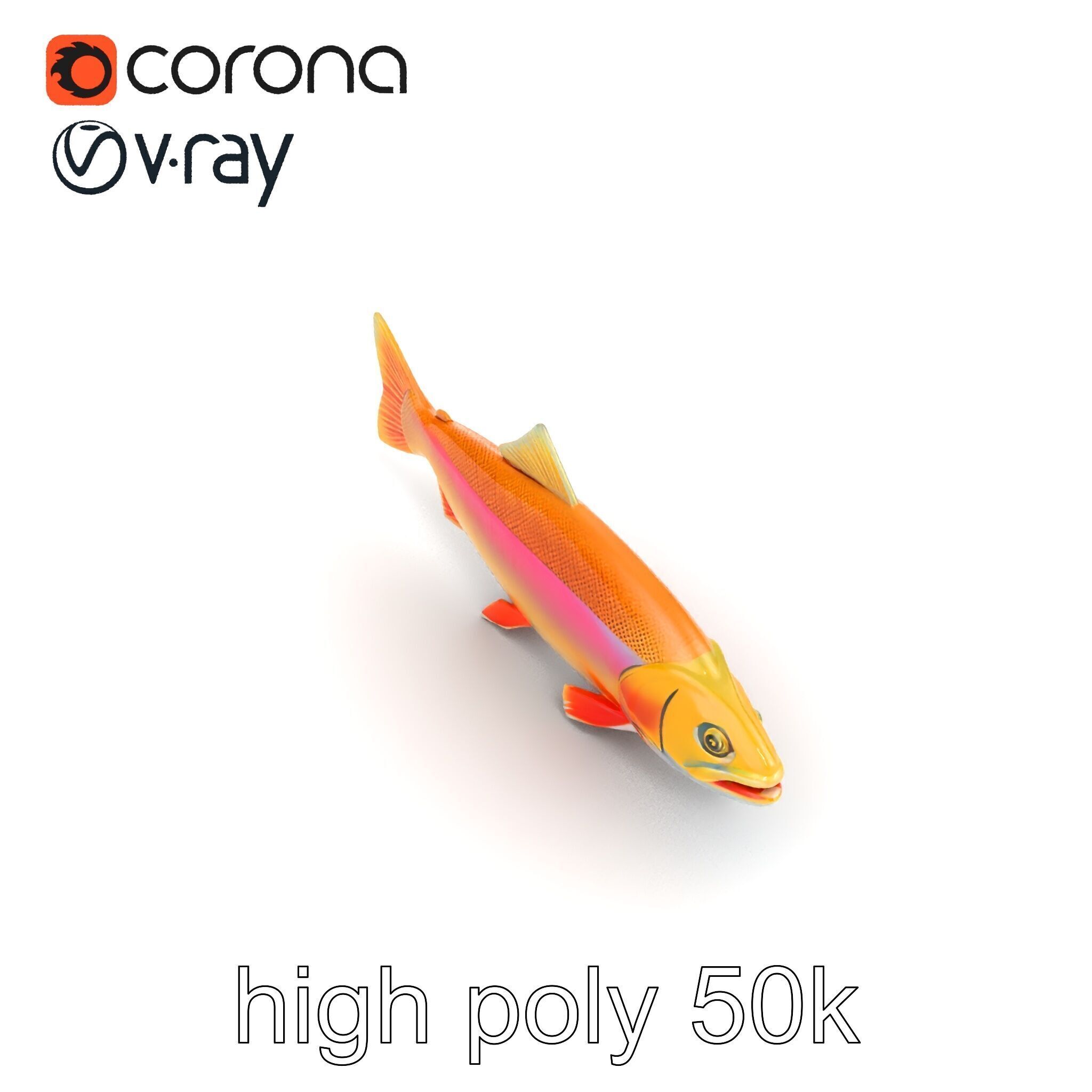 Golden Rainbow Trout 3D Realistic Model Pack Low-poly 3D model_26