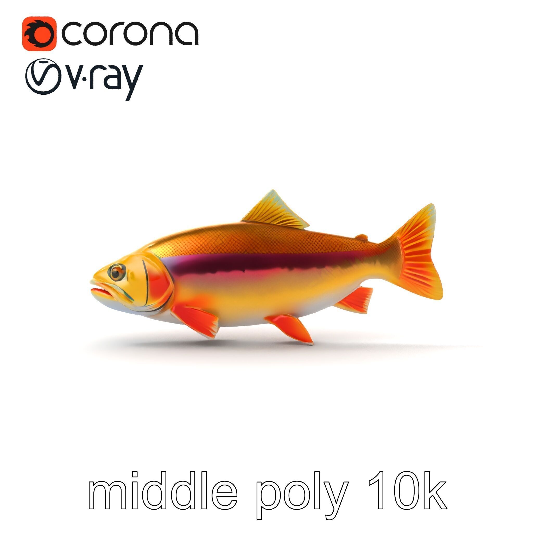 Golden Rainbow Trout 3D Realistic Model Pack Low-poly 3D model_20