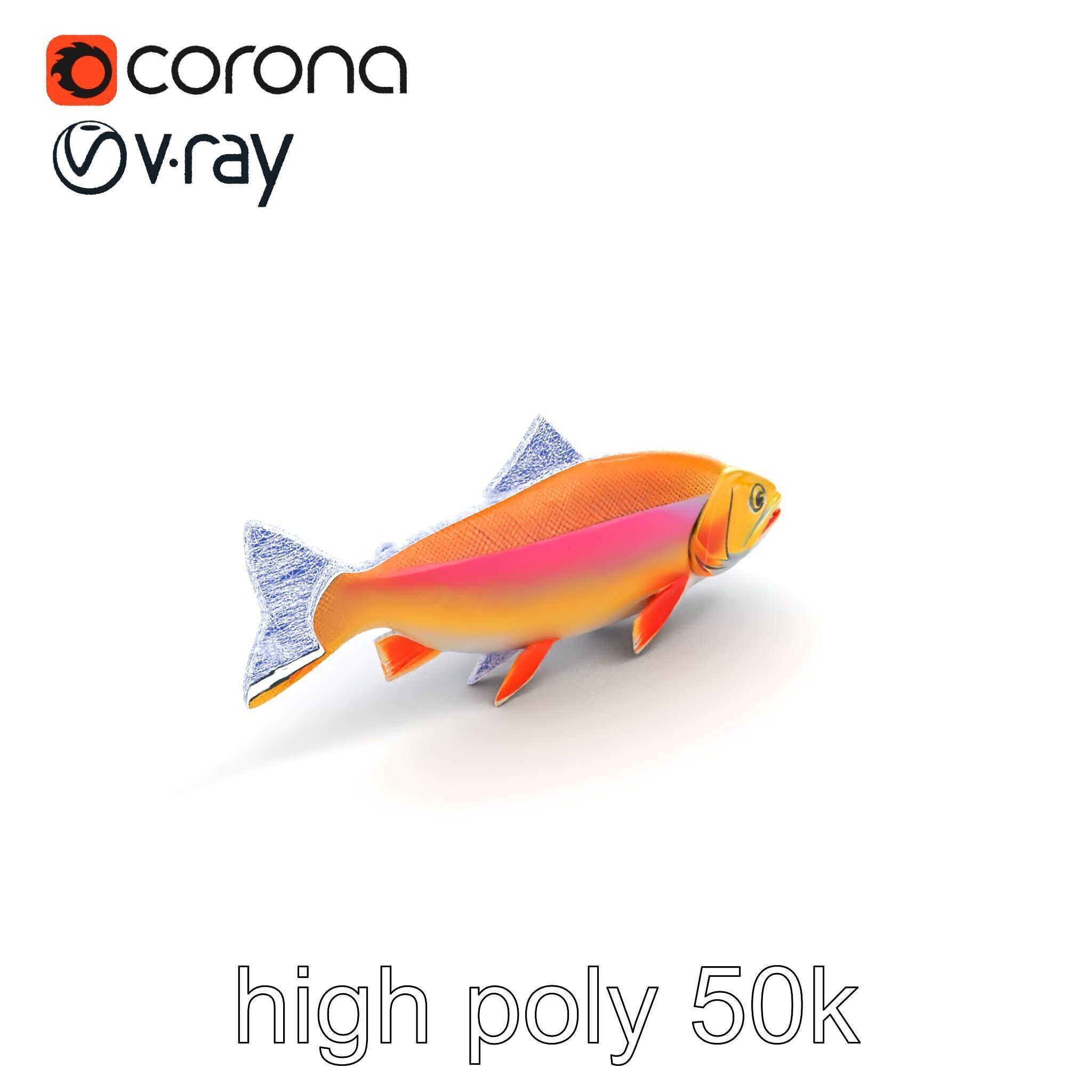 Golden Rainbow Trout 3D Realistic Model Pack Low-poly 3D model_13