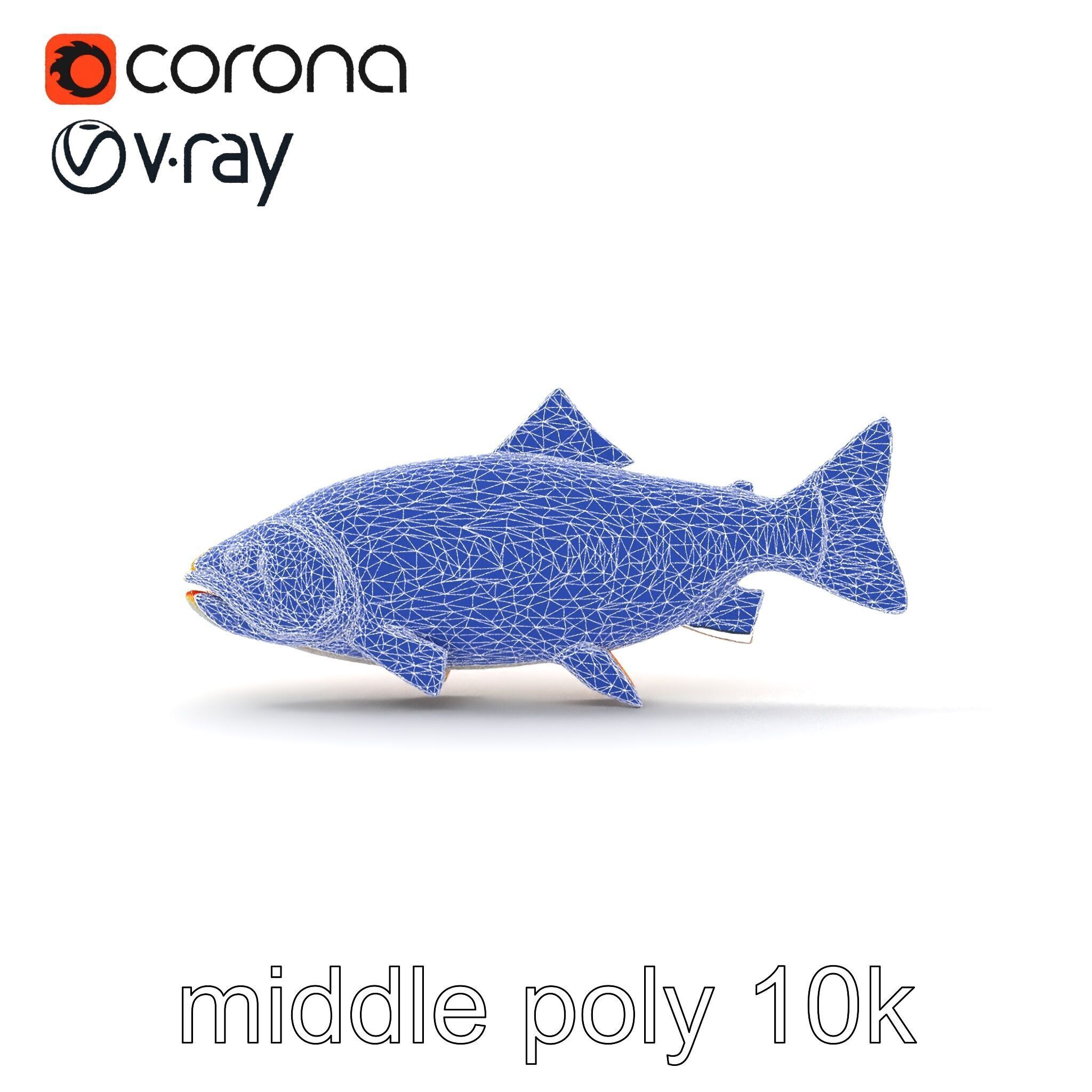 Golden Rainbow Trout 3D Realistic Model Pack Low-poly 3D model_31